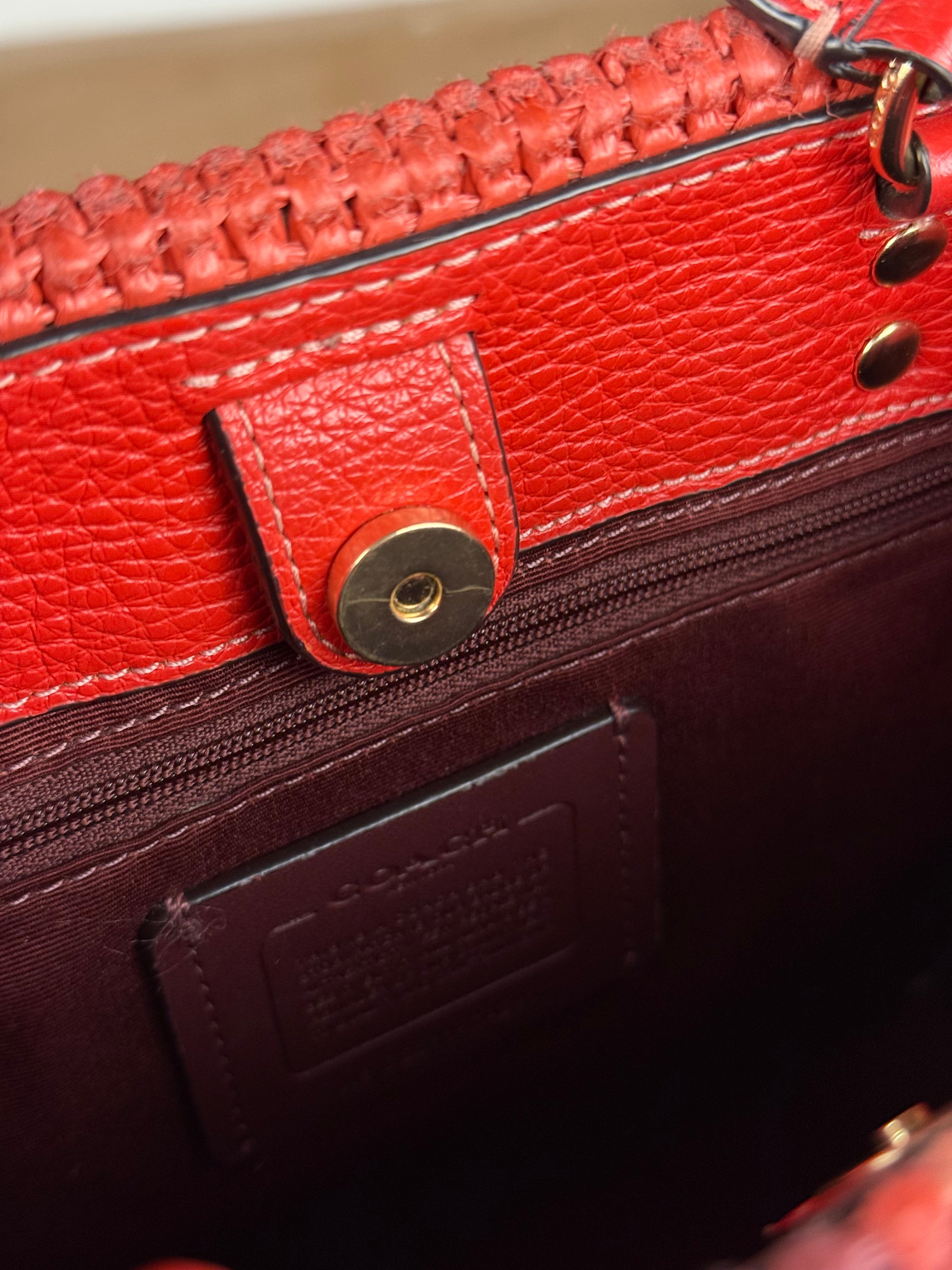 Coach Raffia Mini Tote Crossbody Bag