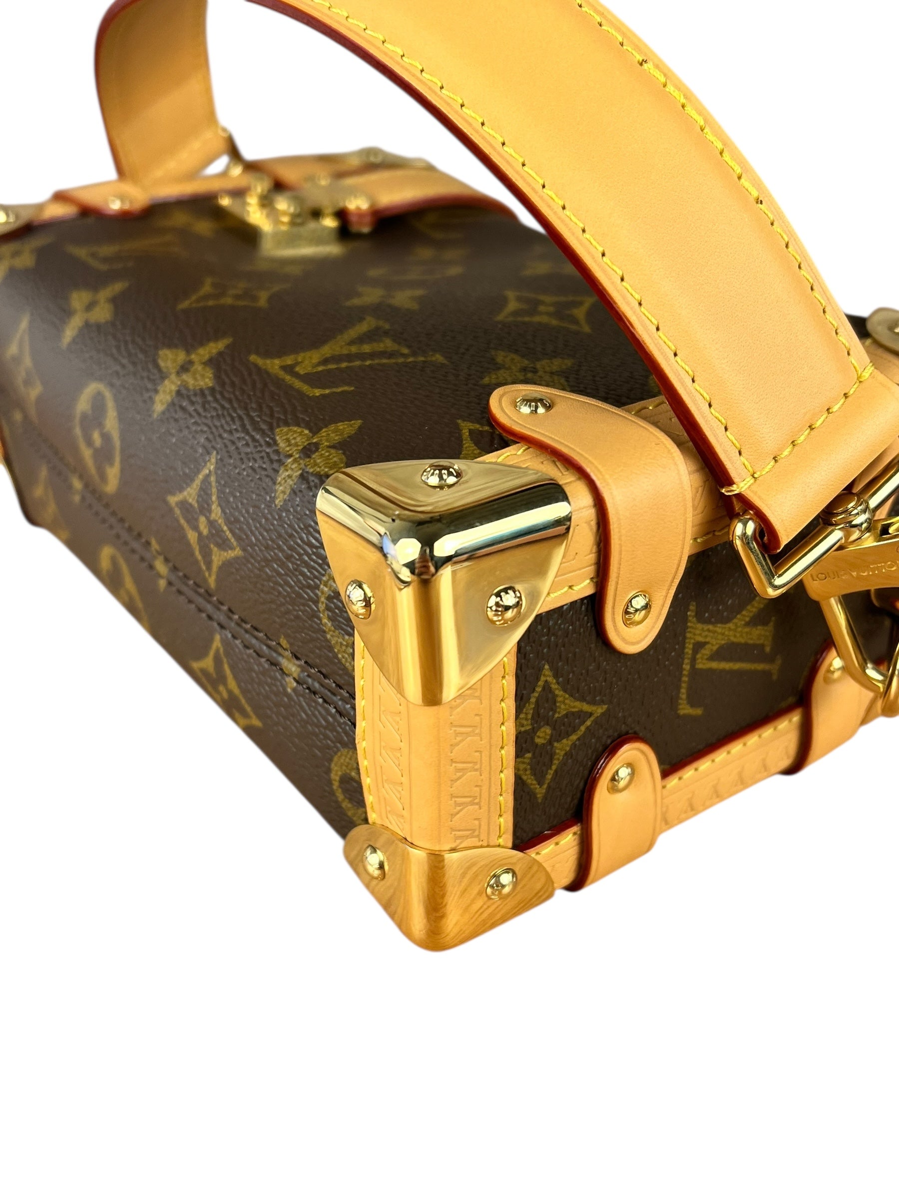 Louis Vuitton Monogram Side Trunk PM