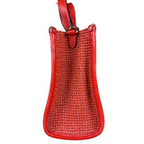 Coach Raffia Mini Tote Crossbody Bag