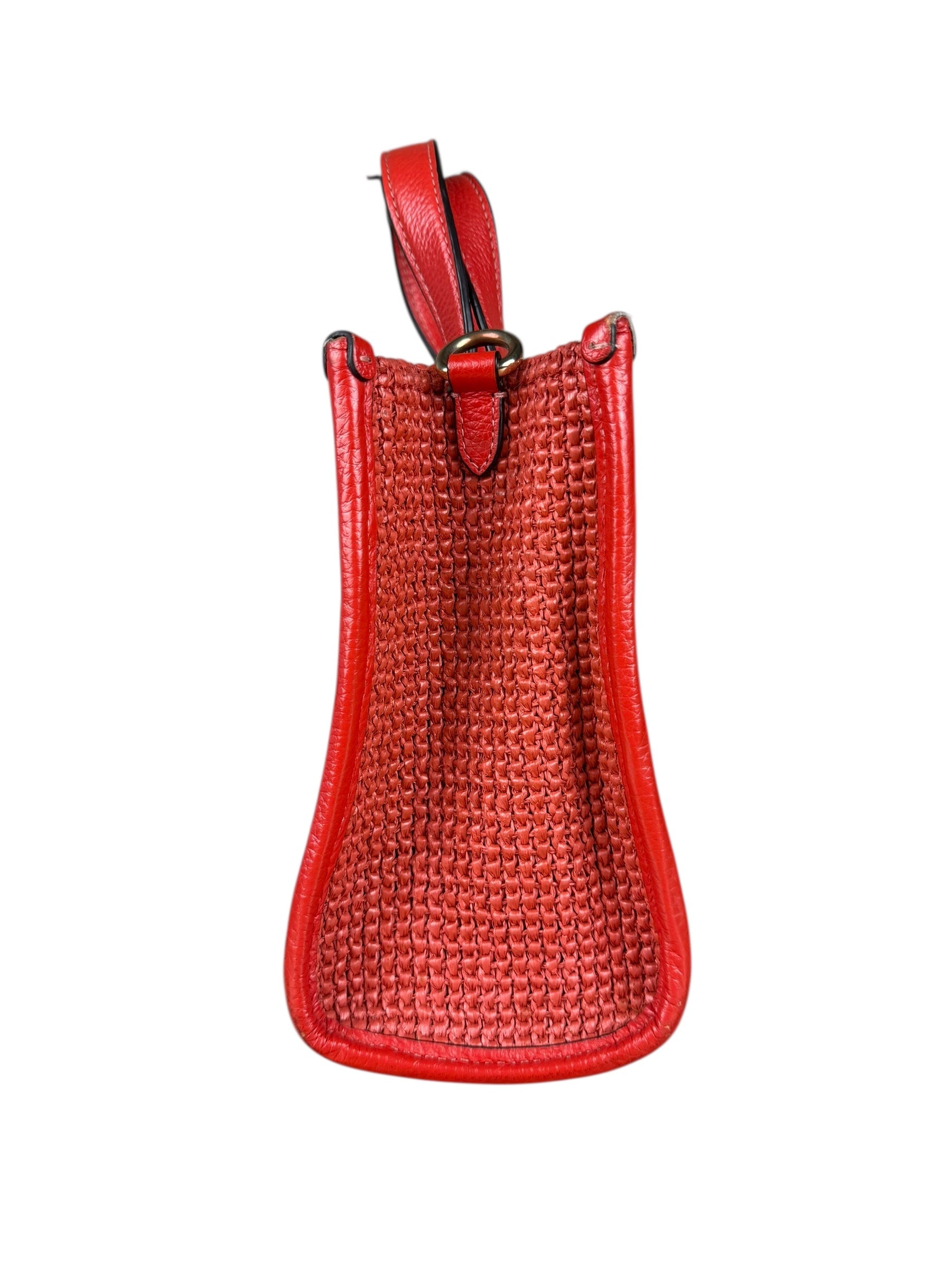 Coach Raffia Mini Tote Crossbody Bag