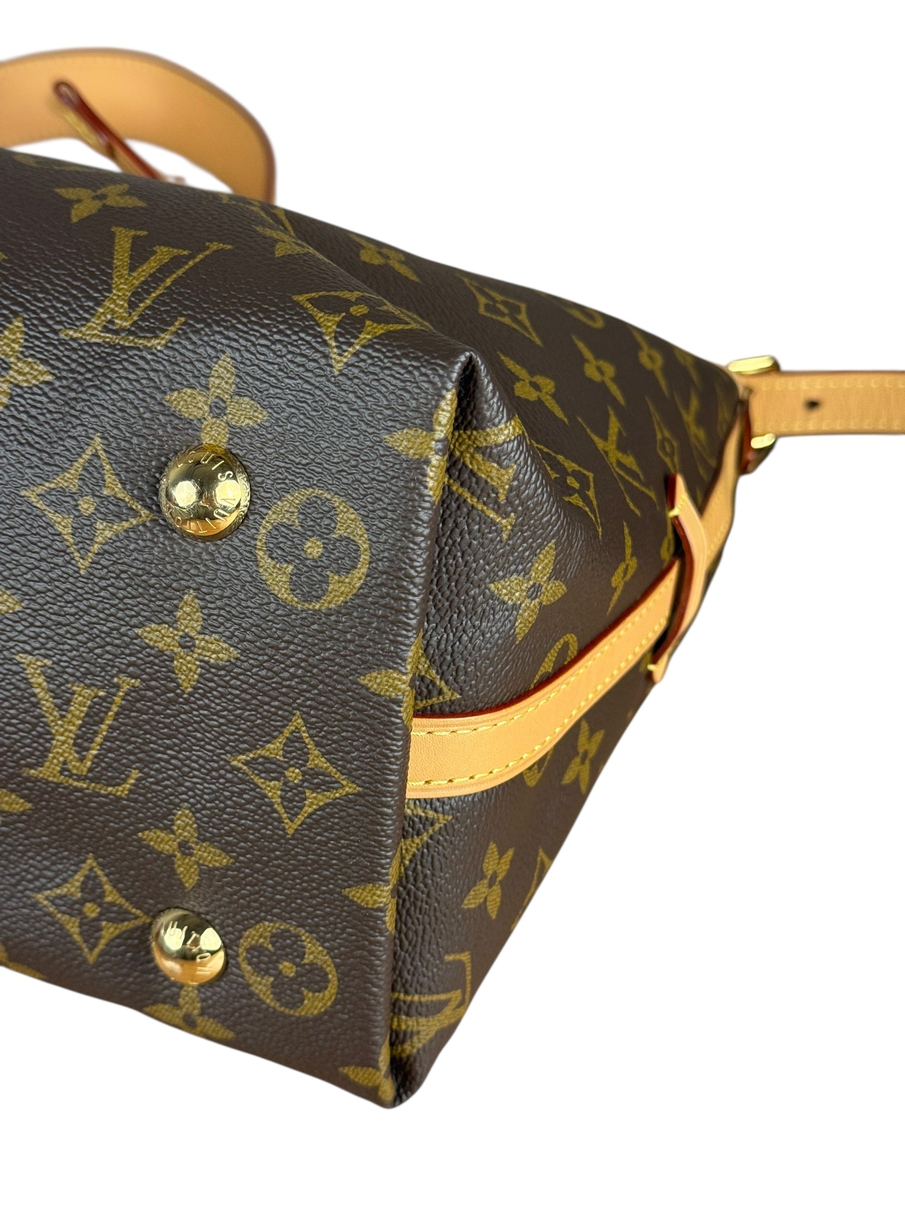 Louis Vuitton Monogram CarryAll MM Shoulder Bag
