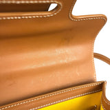 Goyard Mini Goyardine Saigon Top Handle Bag