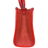 Coach Raffia Mini Tote Crossbody Bag