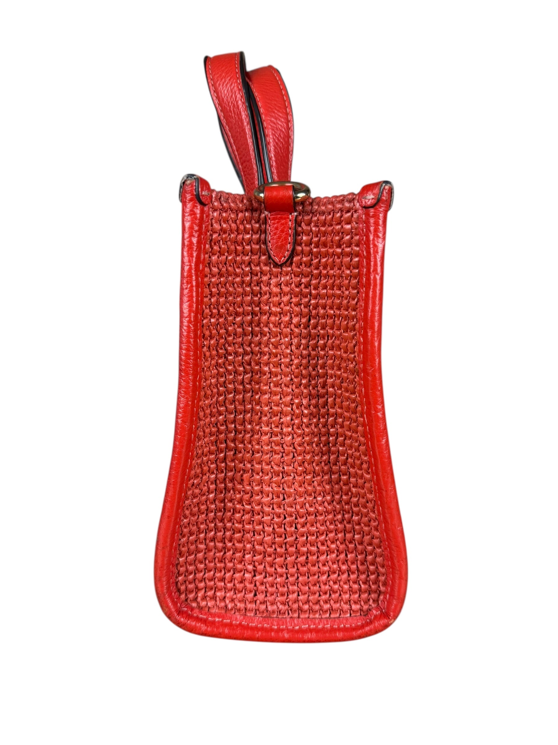 Coach Raffia Mini Tote Crossbody Bag