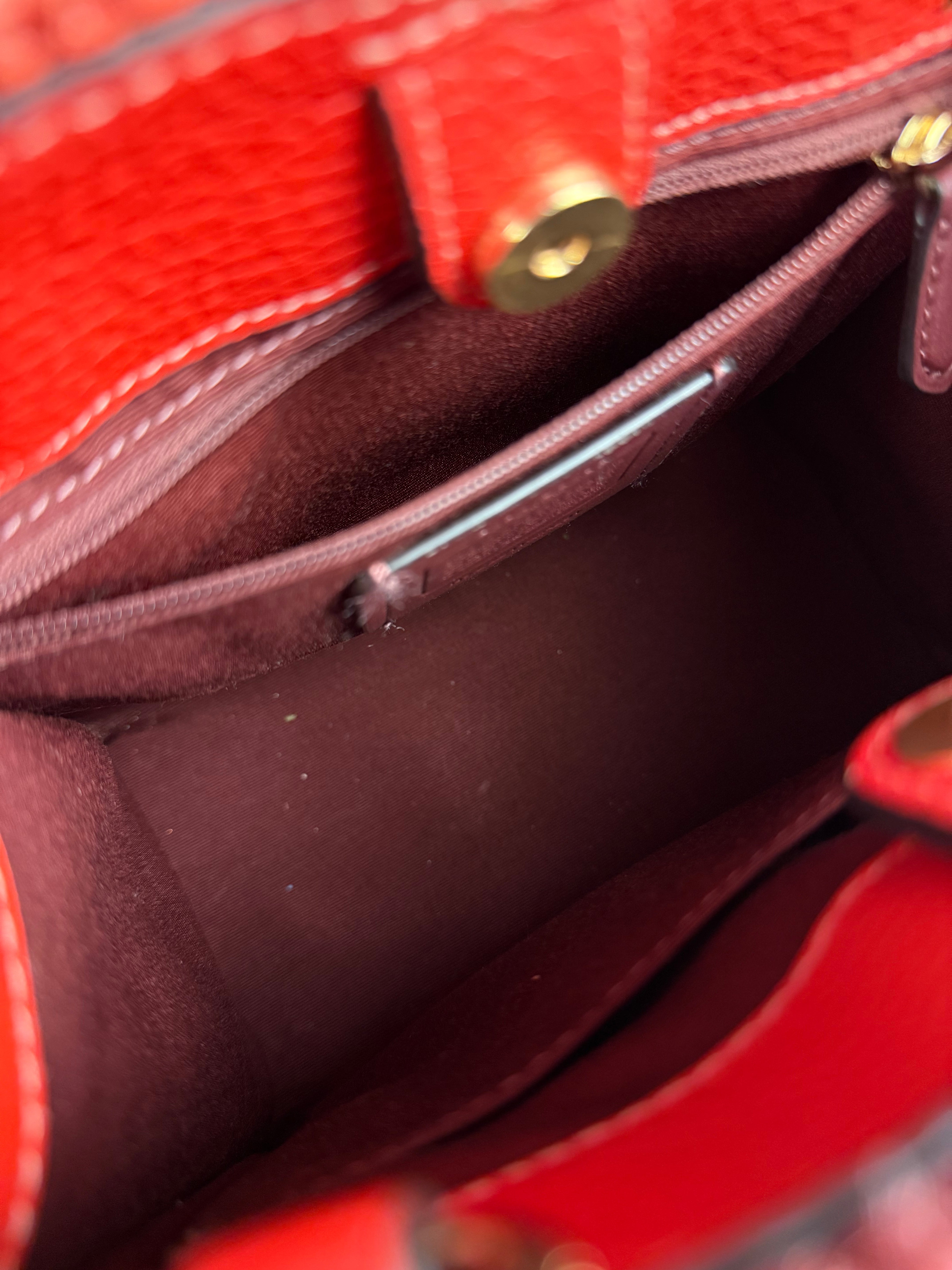 Coach Raffia Mini Tote Crossbody Bag