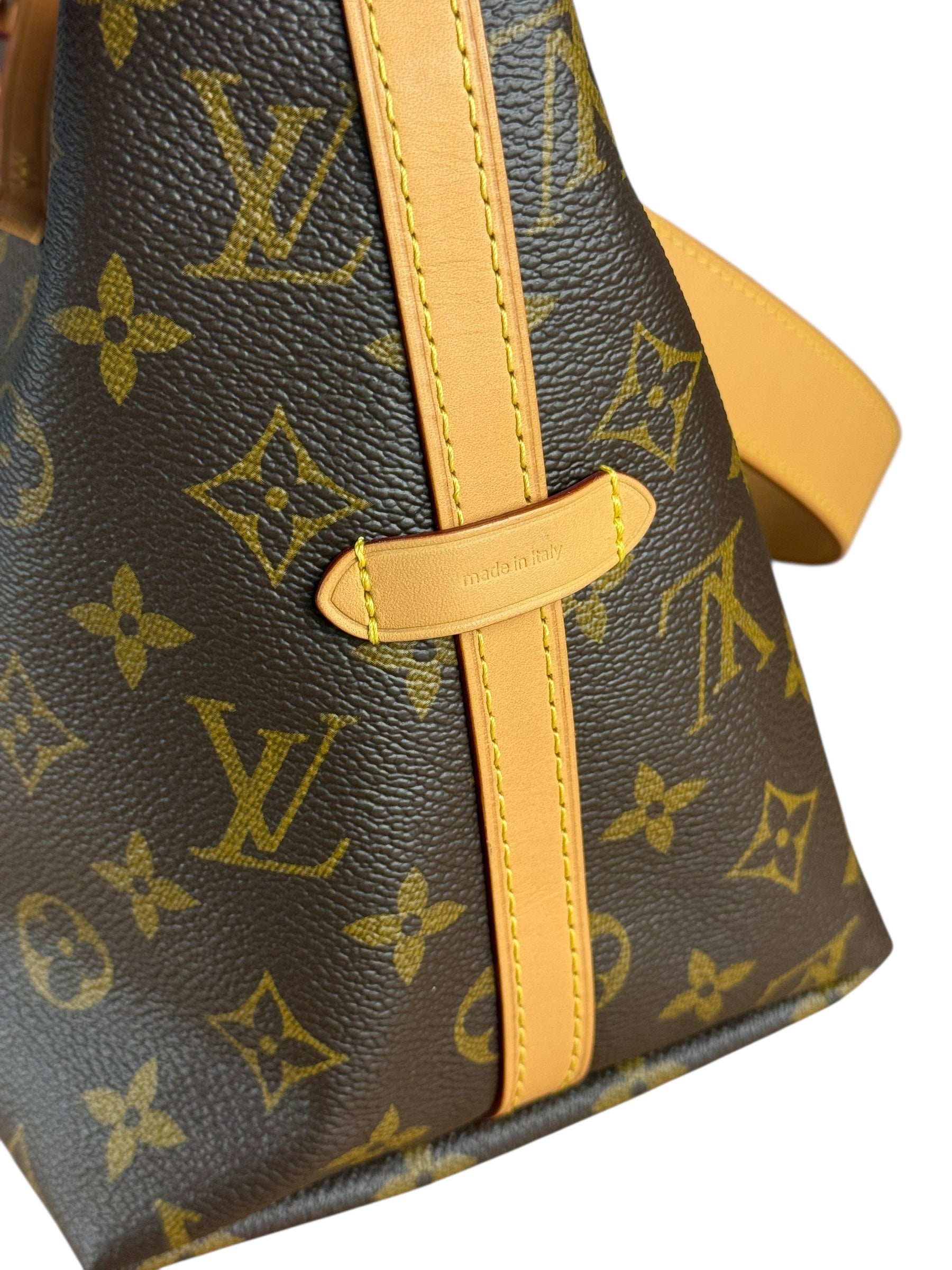 Louis Vuitton Monogram CarryAll MM Shoulder Bag