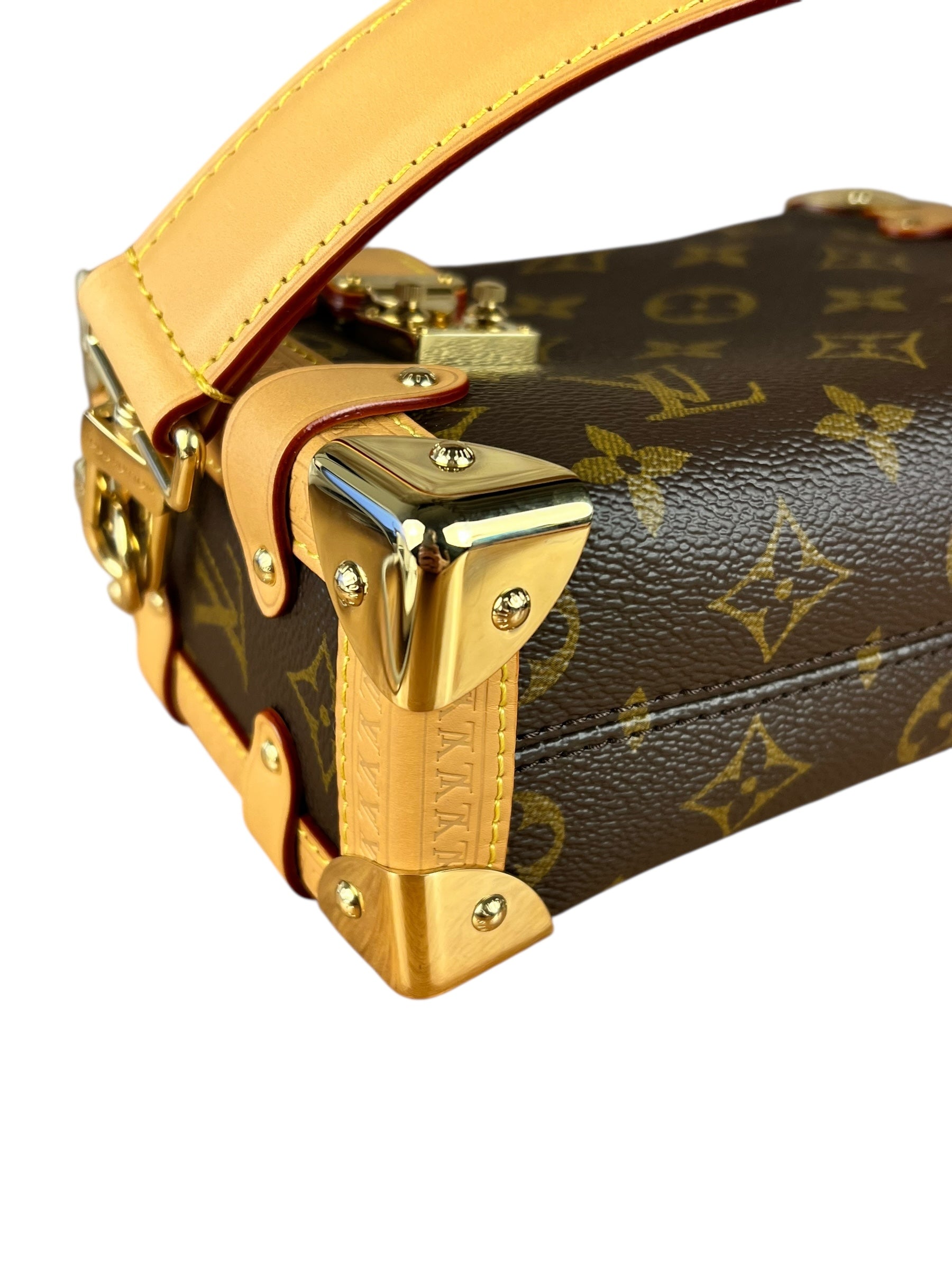 Louis Vuitton Monogram Side Trunk PM