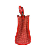 Coach Raffia Mini Tote Crossbody Bag