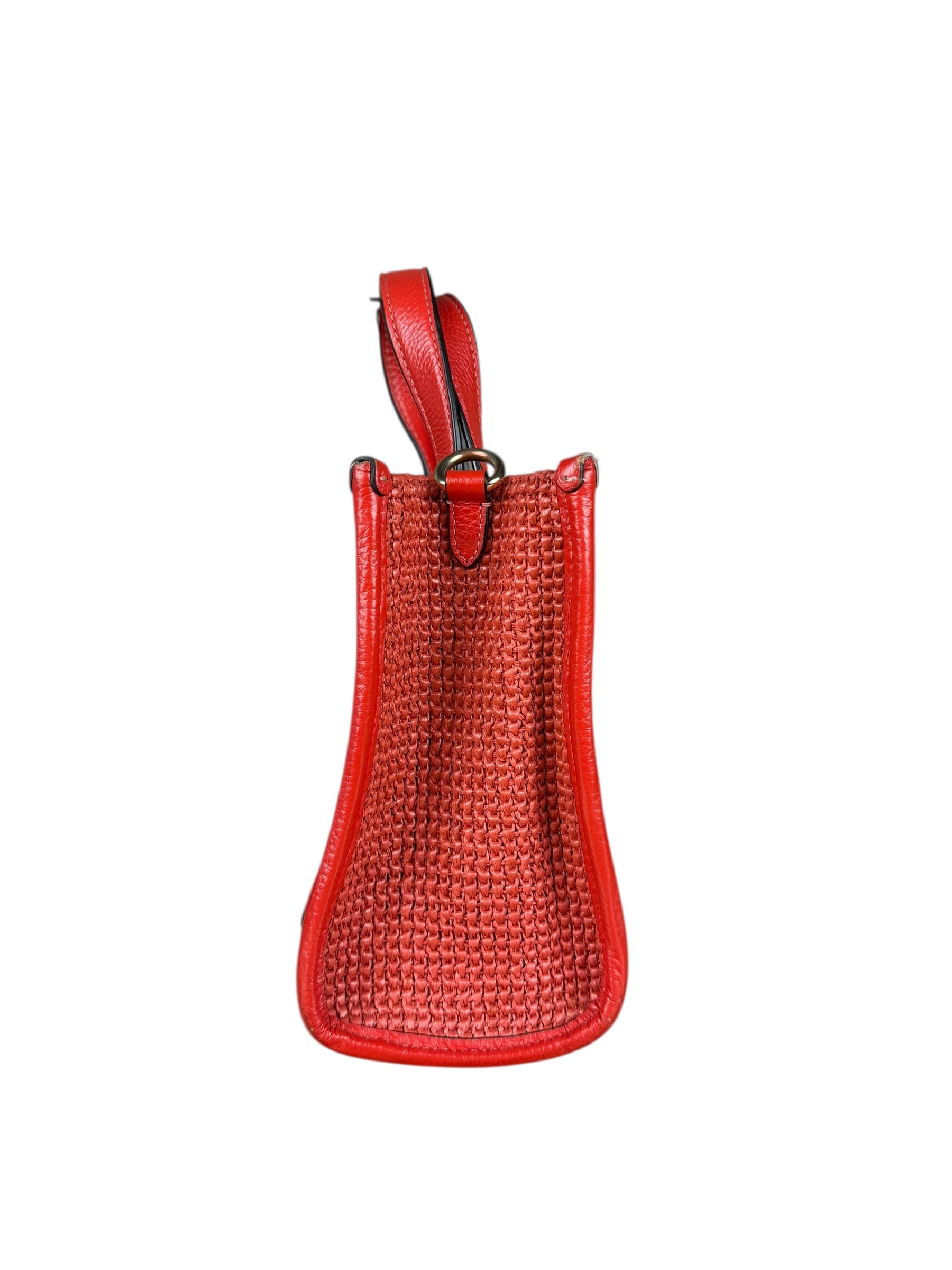 Coach Raffia Mini Tote Crossbody Bag