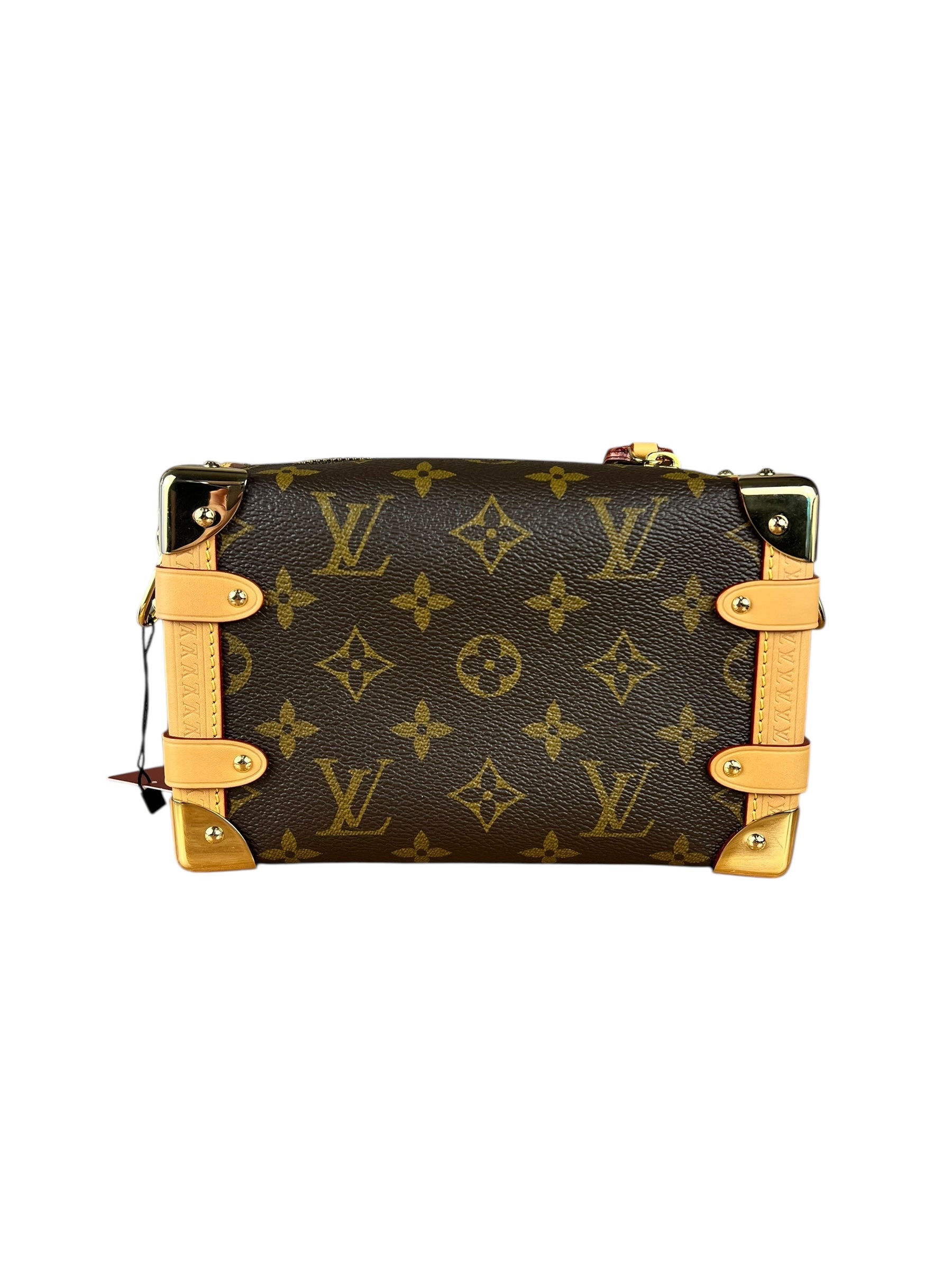 Louis Vuitton Monogram Side Trunk PM