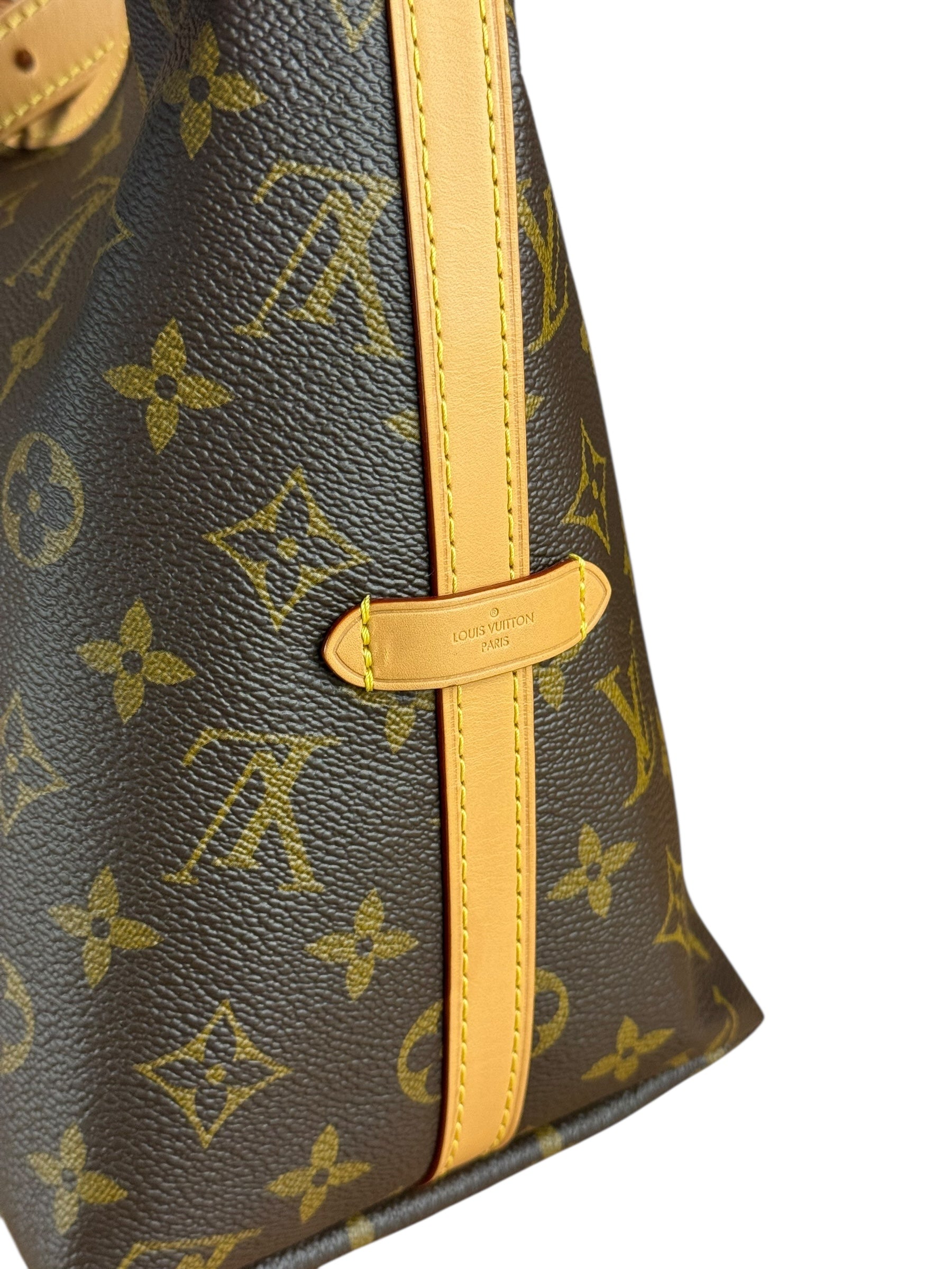 Louis Vuitton Monogram CarryAll MM Shoulder Bag