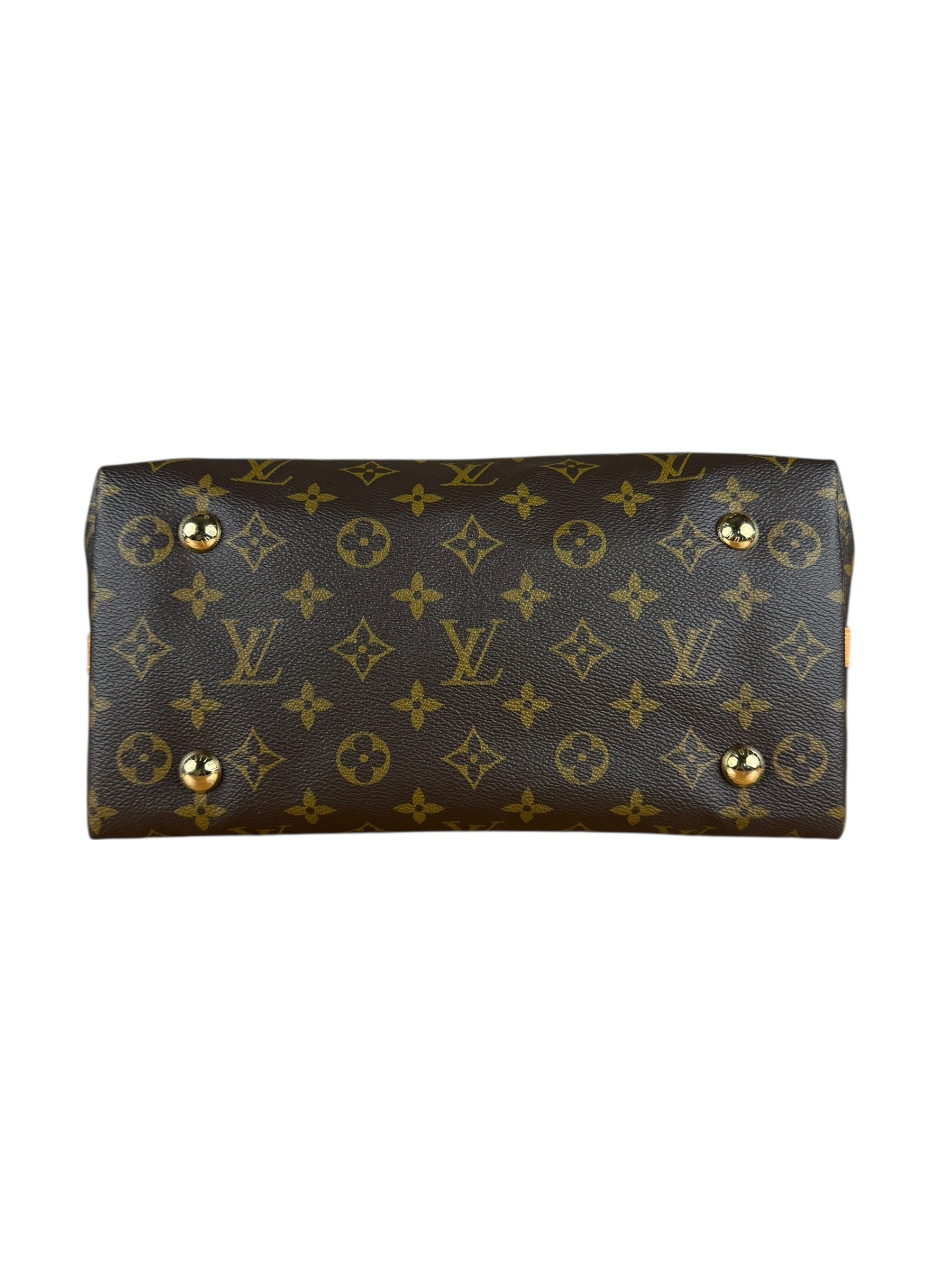 Louis Vuitton Monogram CarryAll MM Shoulder Bag