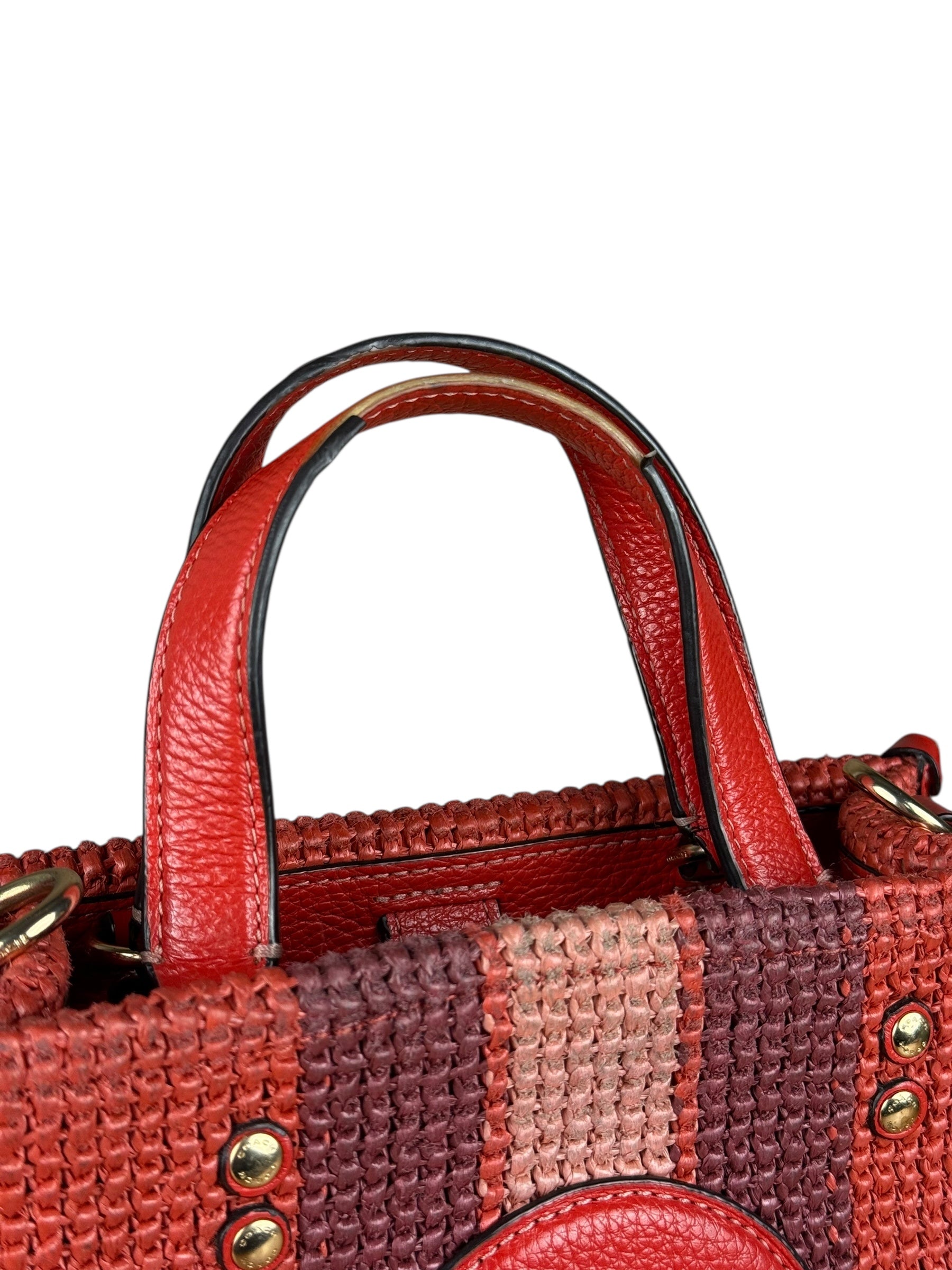 Coach Raffia Mini Tote Crossbody Bag