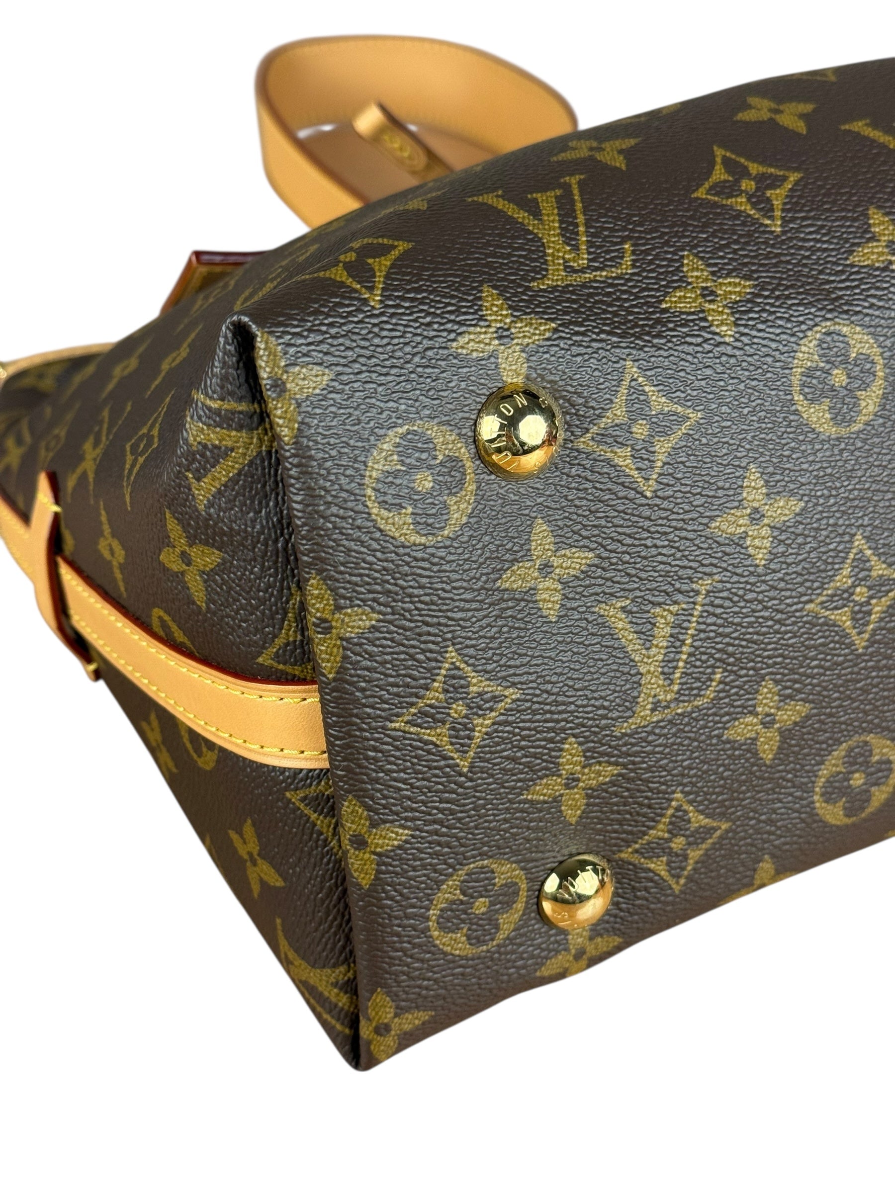 Louis Vuitton Monogram CarryAll MM Shoulder Bag