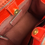 Coach Raffia Mini Tote Crossbody Bag