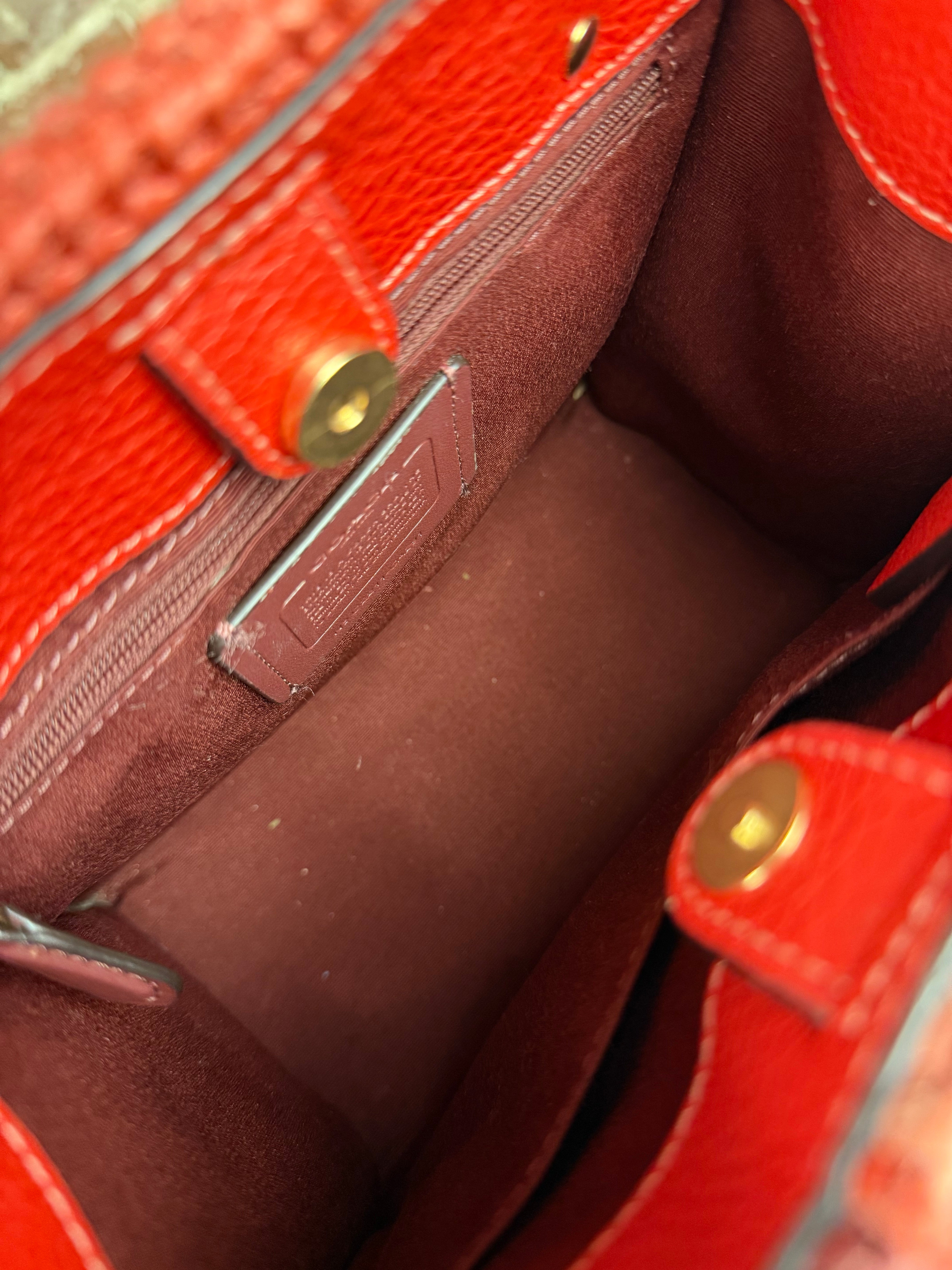 Coach Raffia Mini Tote Crossbody Bag