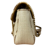 Gucci Raffia Snake-Trimmed Marmont Chain Bag