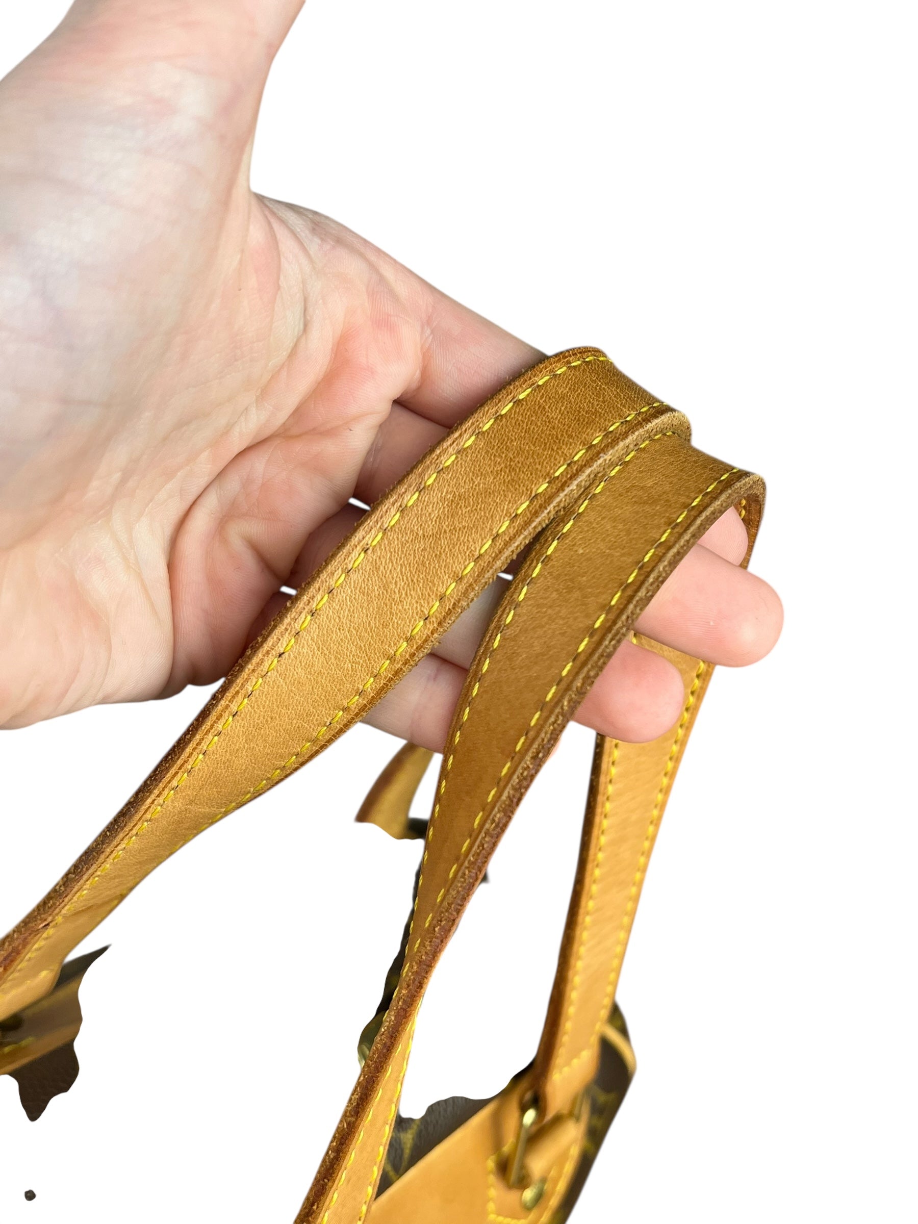 Louis Vuitton Monogram Excursion Handbag