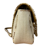Gucci Raffia Snake-Trimmed Marmont Chain Bag