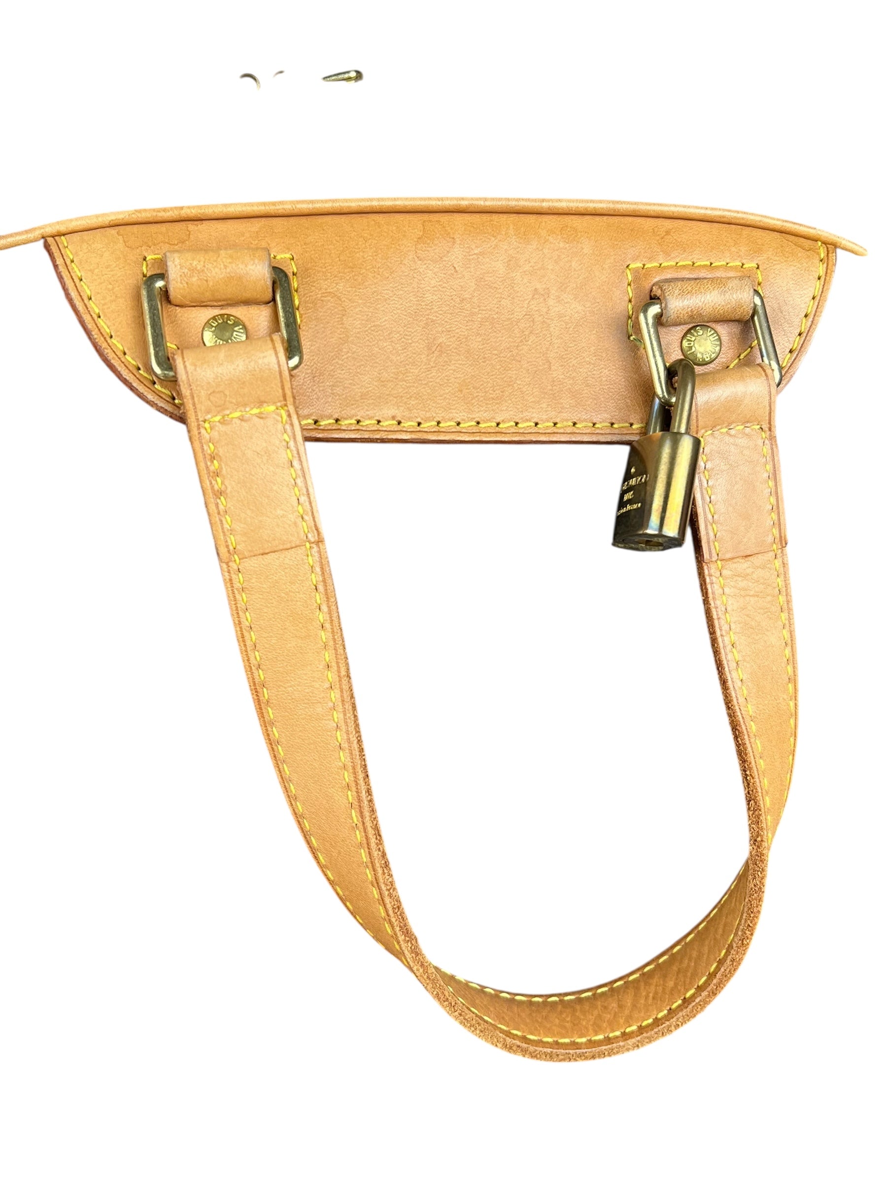 Louis Vuitton Monogram Excursion Handbag