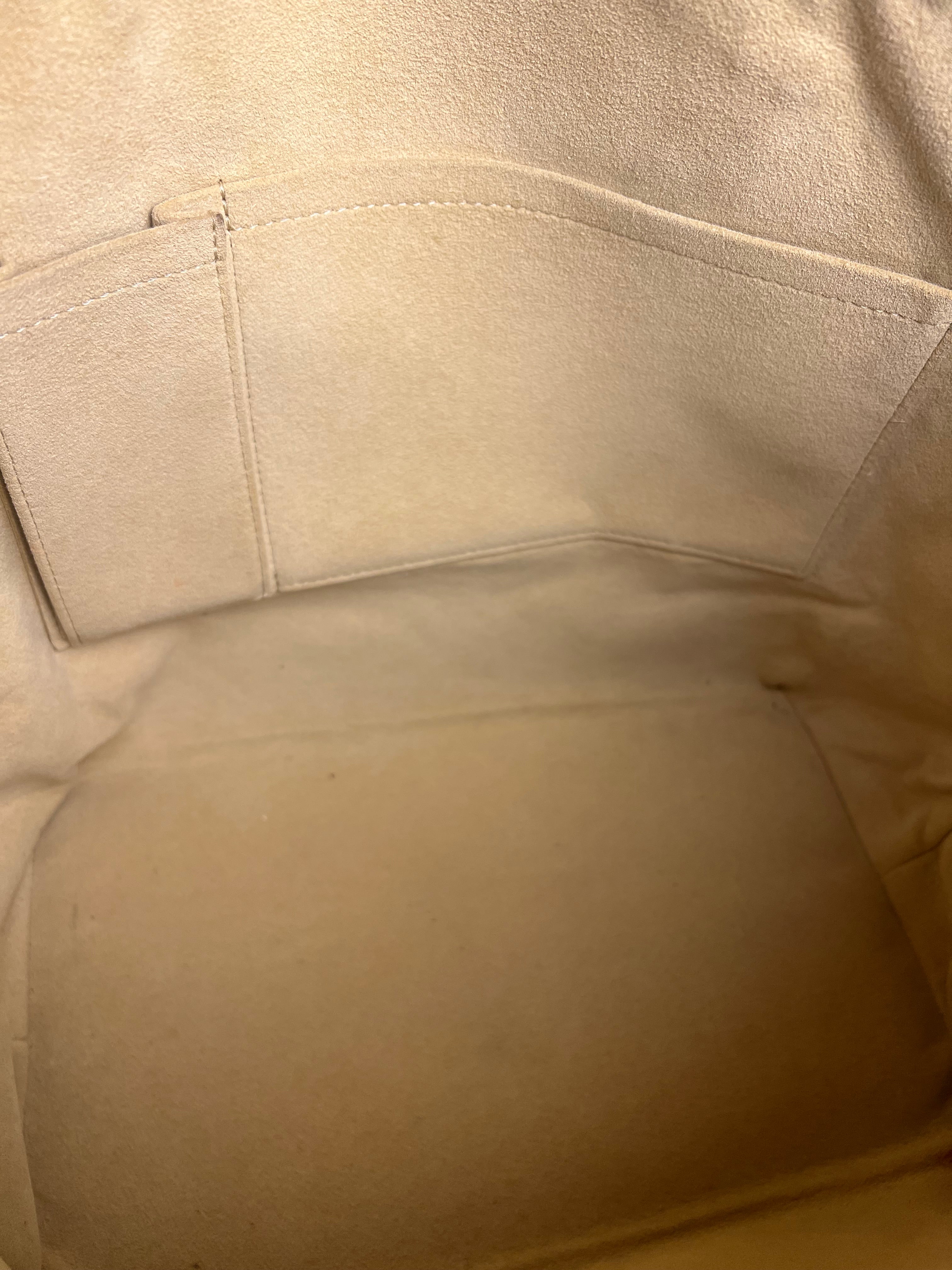 Louis Vuitton Damier Azur Saleya MM Tote