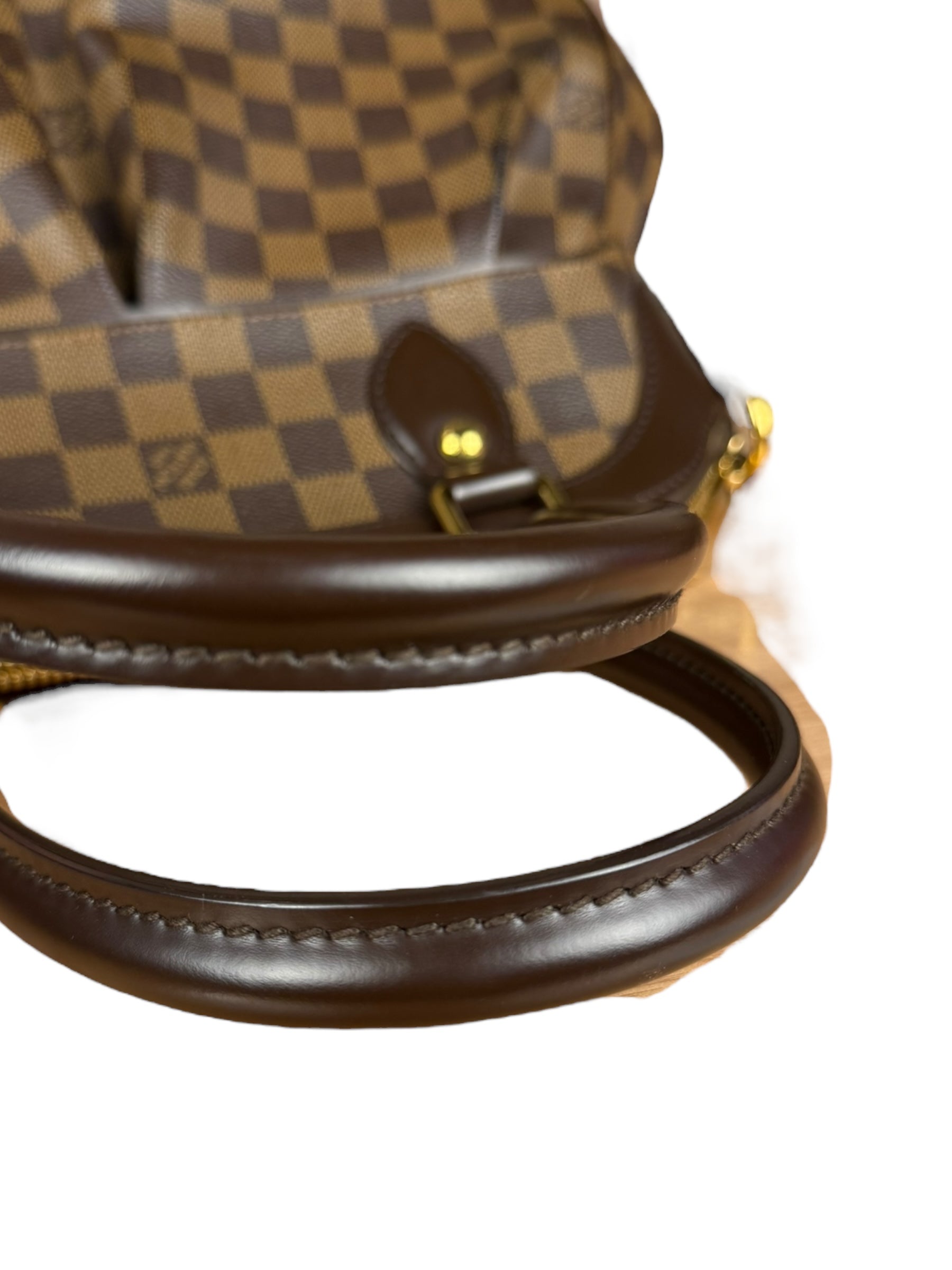 Louis Vuitton Damier Ebene Trevi Handbag MM