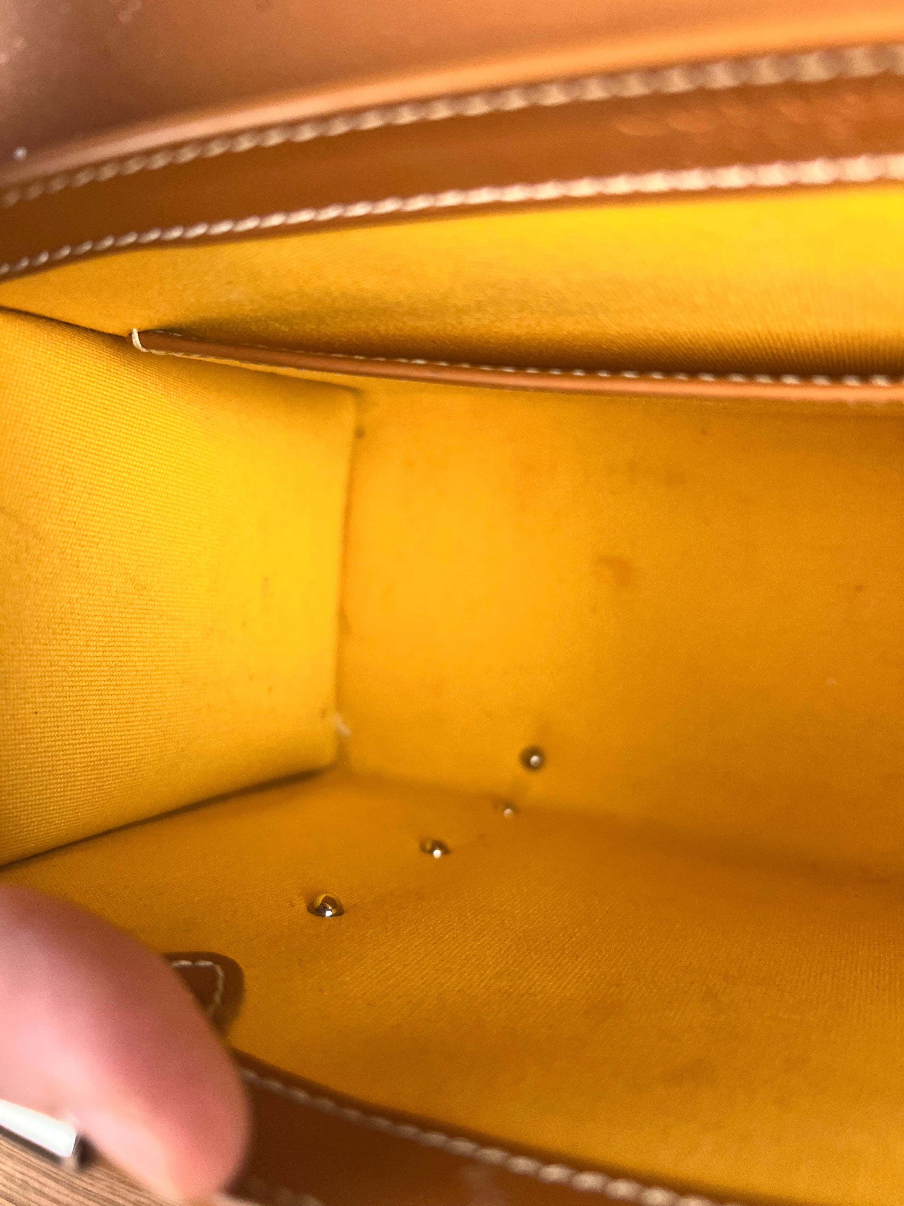 Goyard Mini Goyardine Saigon Top Handle Bag