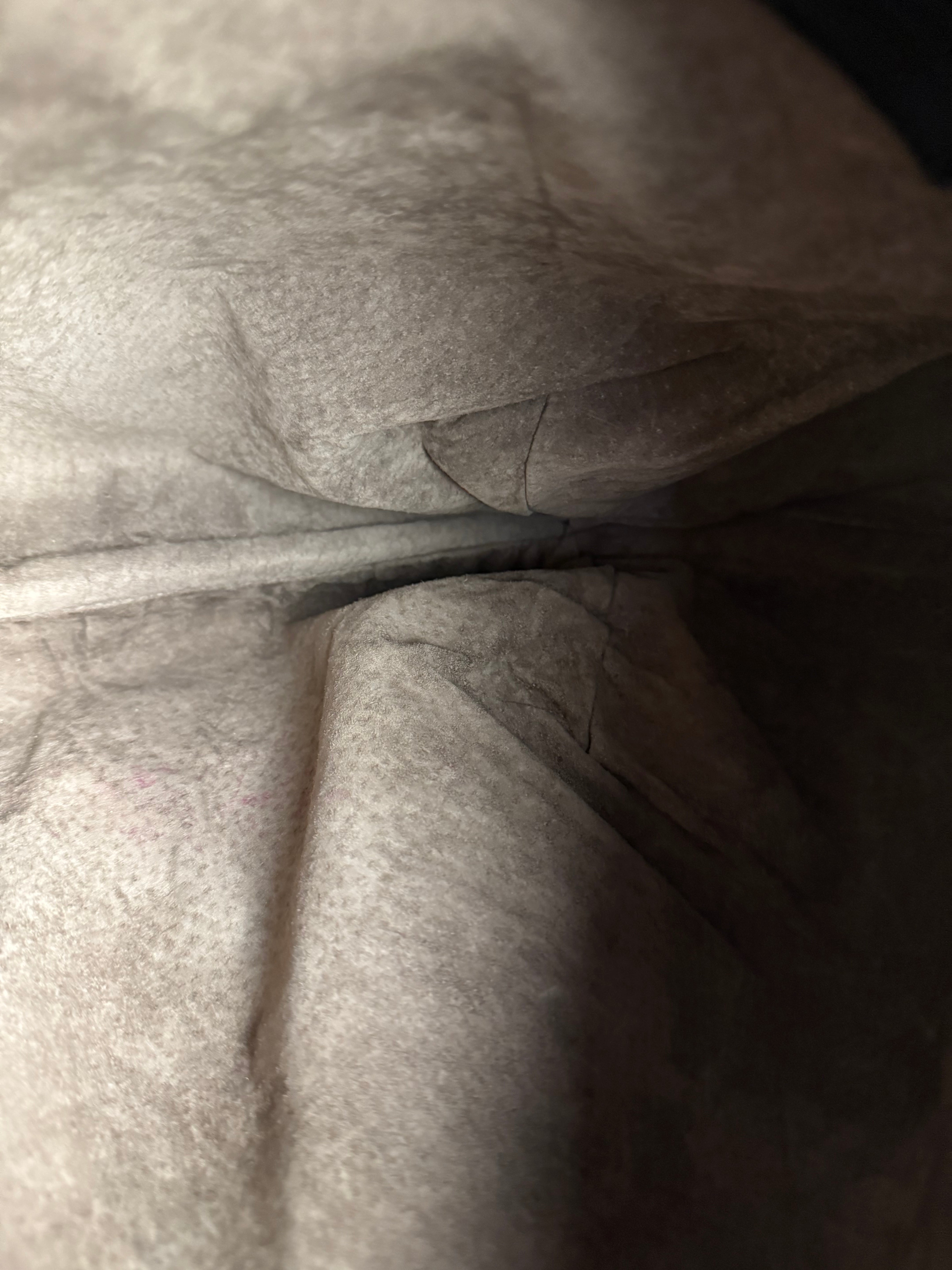 Bottega Veneta Large Intreccio Large Hobo Bag