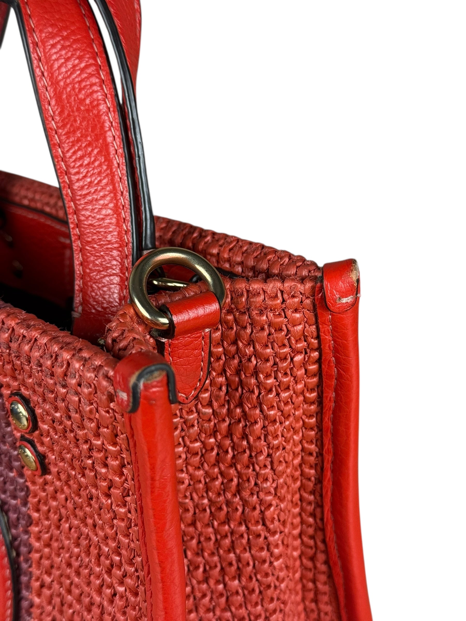 Coach Raffia Mini Tote Crossbody Bag