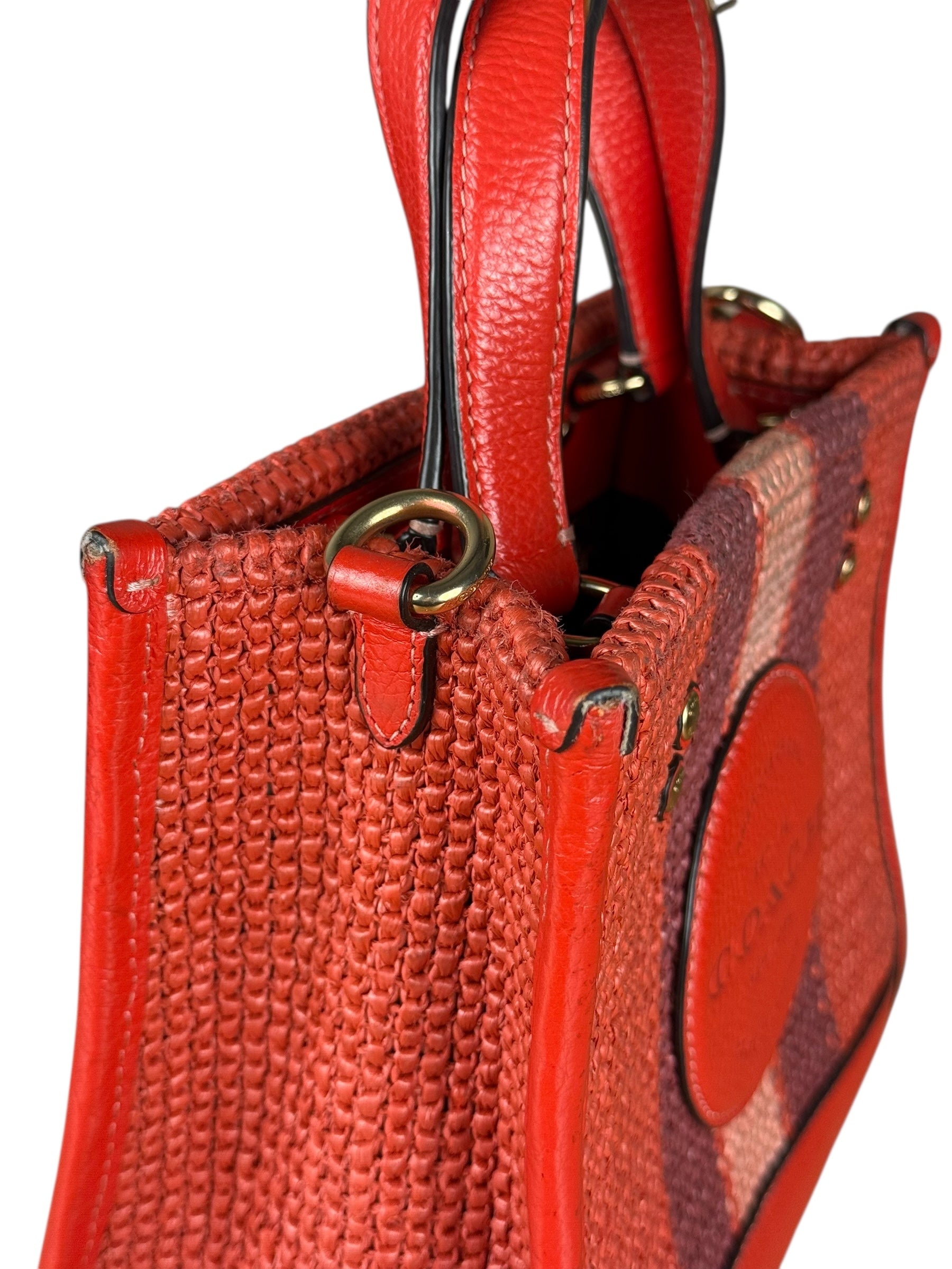 Coach Raffia Mini Tote Crossbody Bag