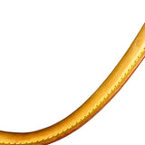 Louis Vuitton Monogram Looping GM