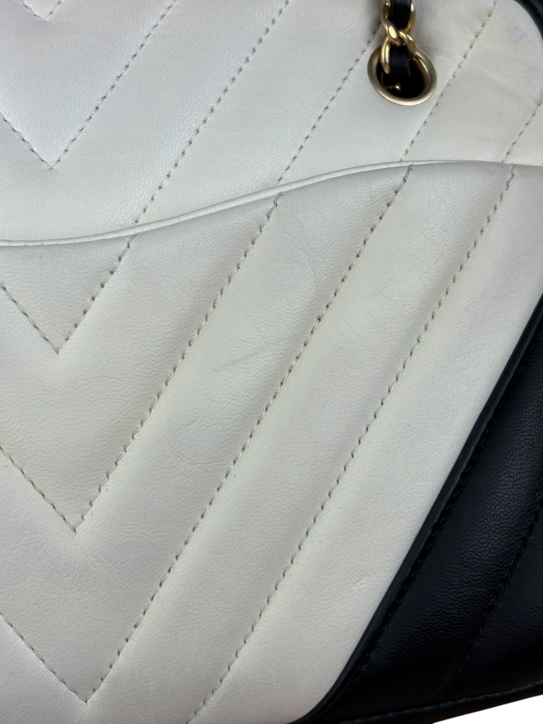 Chanel Bicolor Chevron V-Quilted Leather Camera Case 2014