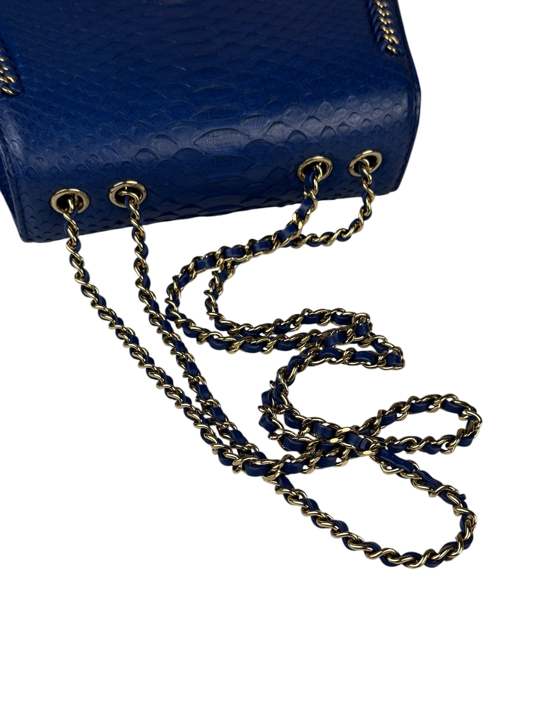 Chanel Braided Chic Python Flap Bag 2017
