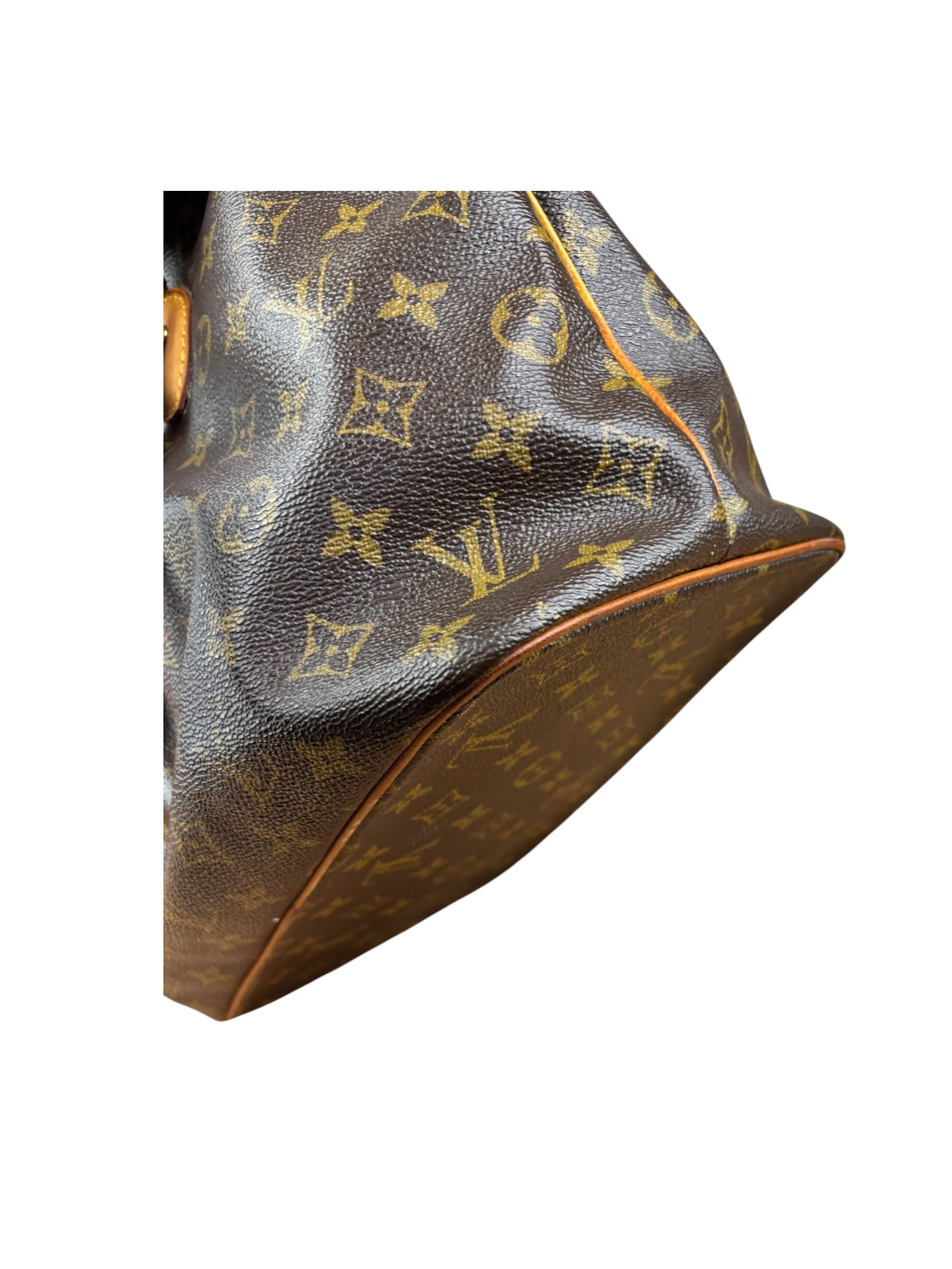 Louis Vuitton Monogram Palermo Two-Way Bag MM