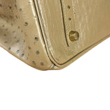 Hermes Birkin 35 Mousse Ostrich 2001