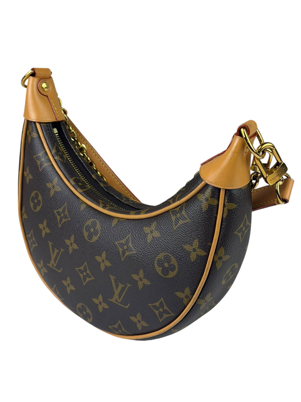 Louis Vuitton Monogram Loop Pochette