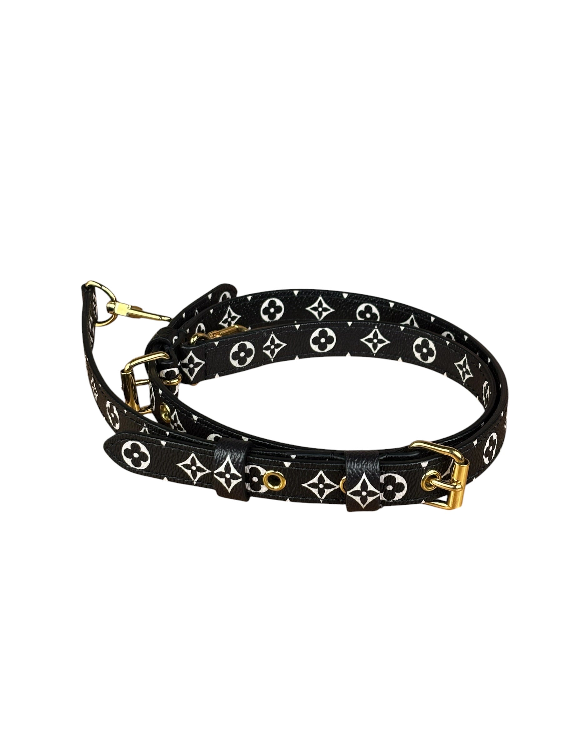 Louis Vuitton Multicolor Crafty Speedy Bandouliere 25