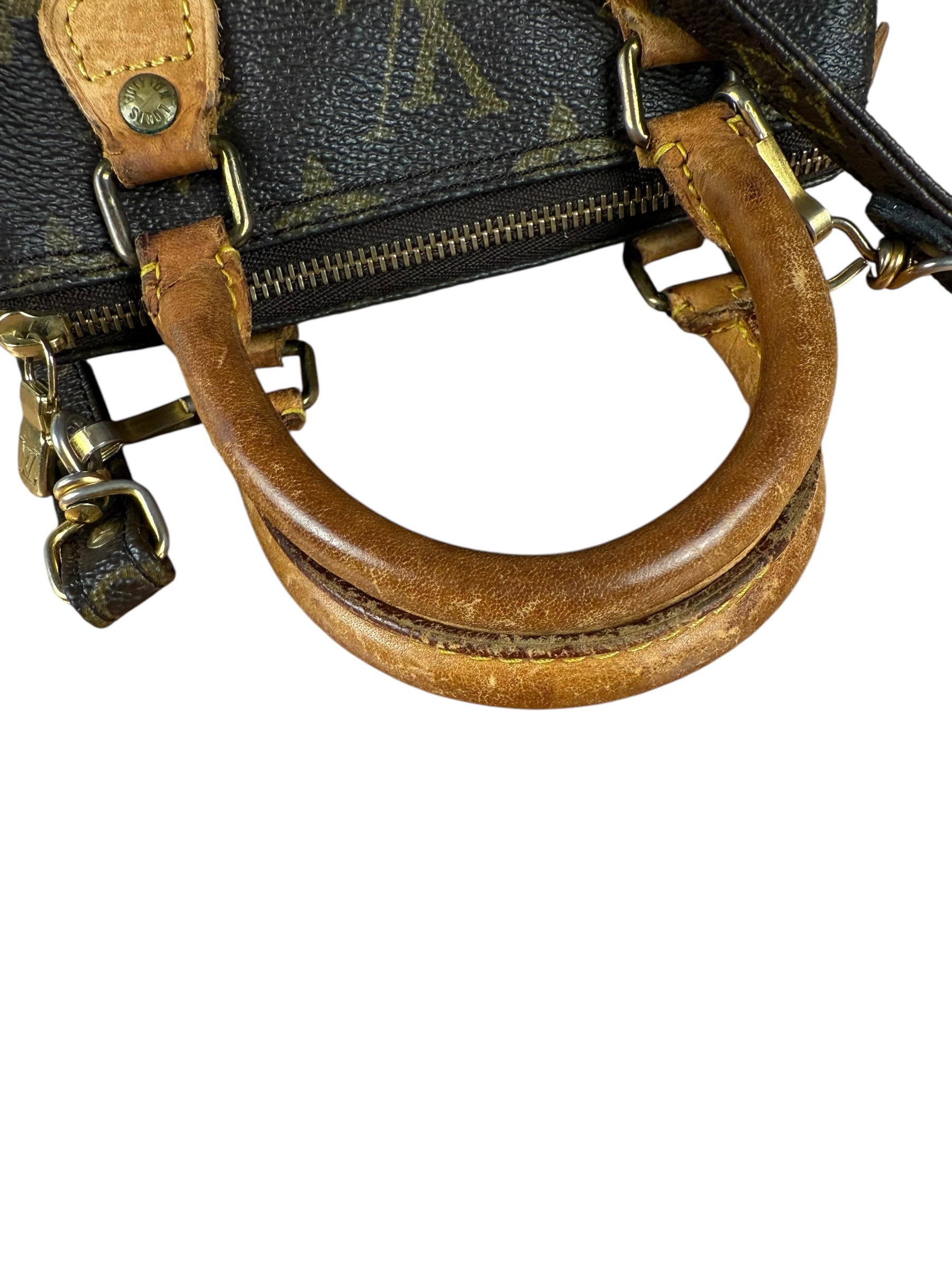 Louis Vuitton Monogram Nano Speedy Bag