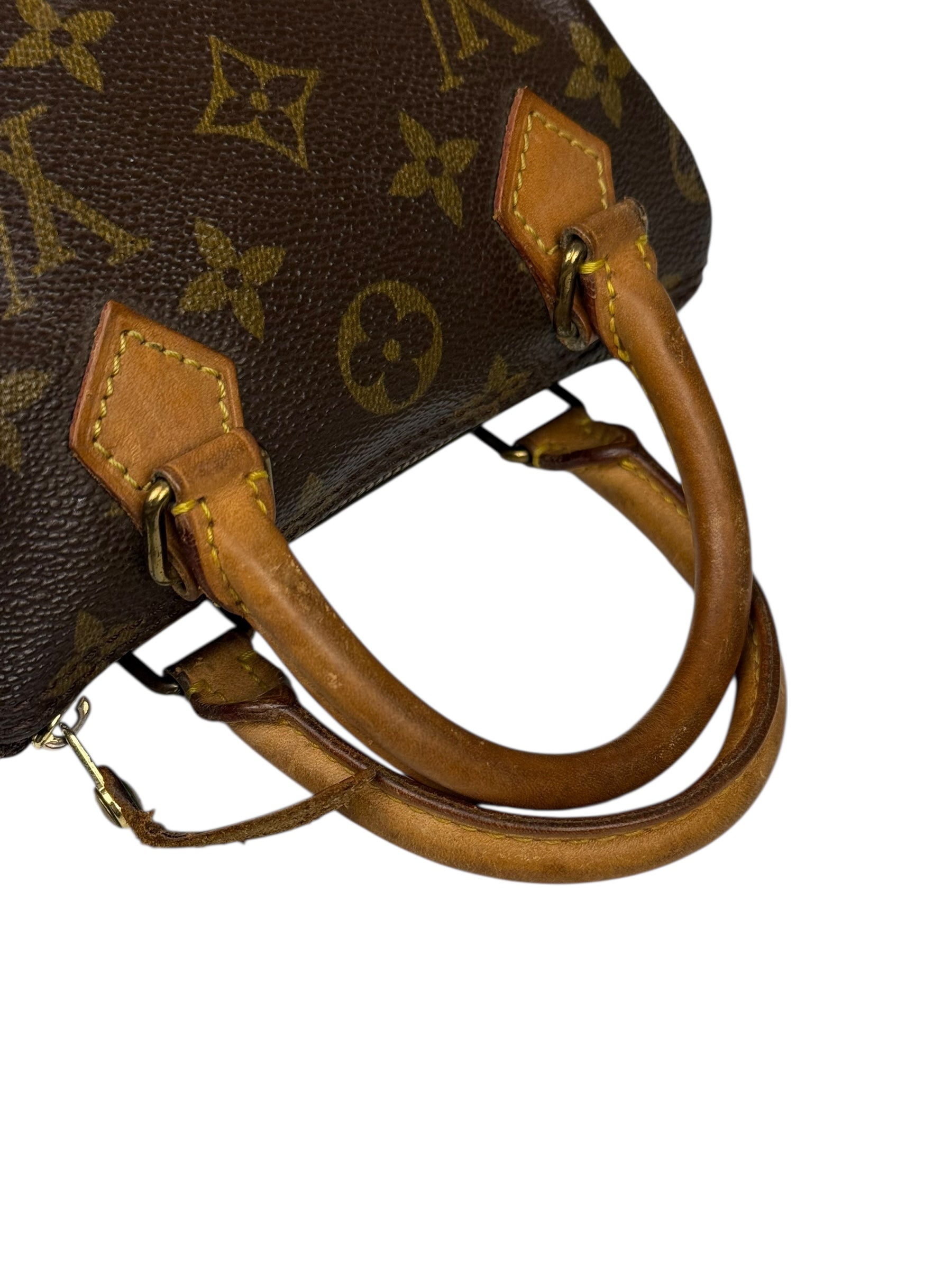 Louis Vuitton Monogram Nano Speedy Bag