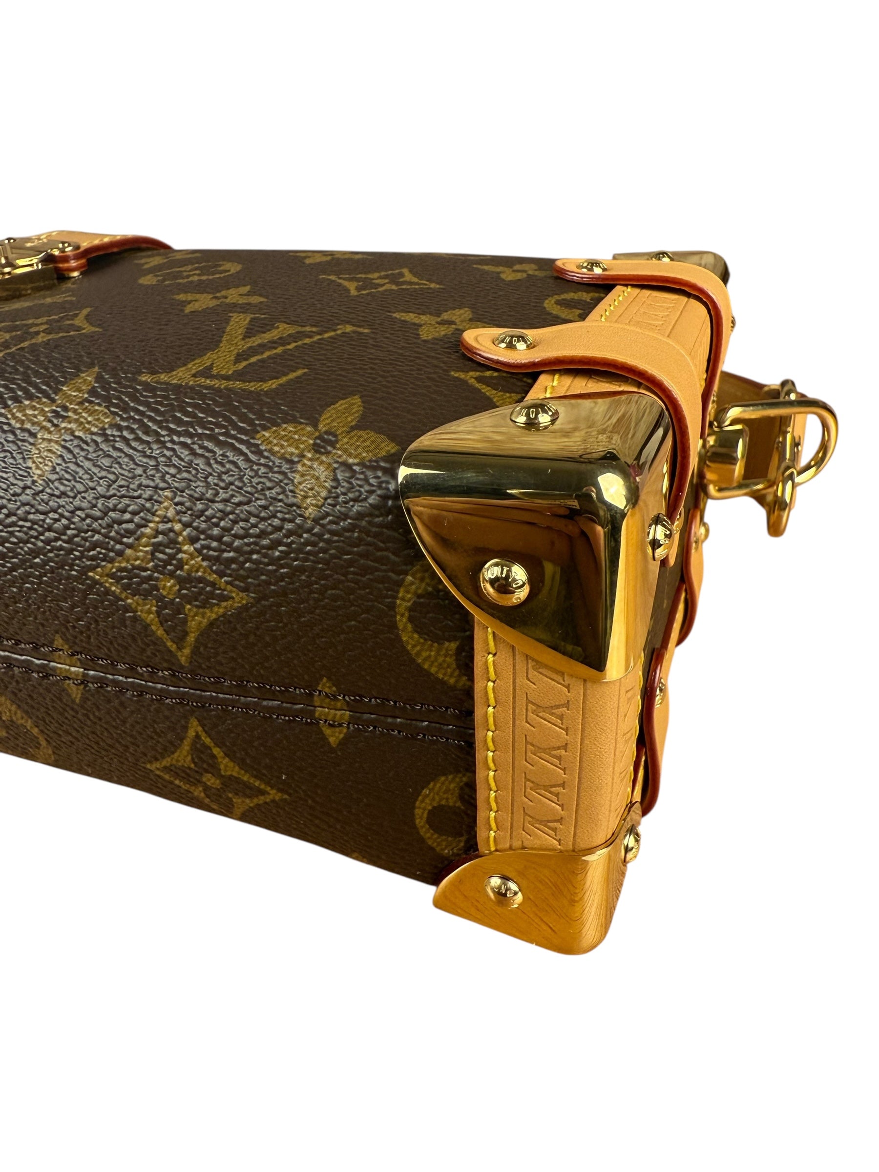 Louis Vuitton Monogram Side Trunk Bag