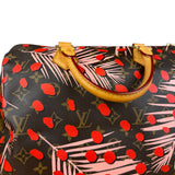 Louis Vuitton Limited Edition Jungle Dots Speedy 30