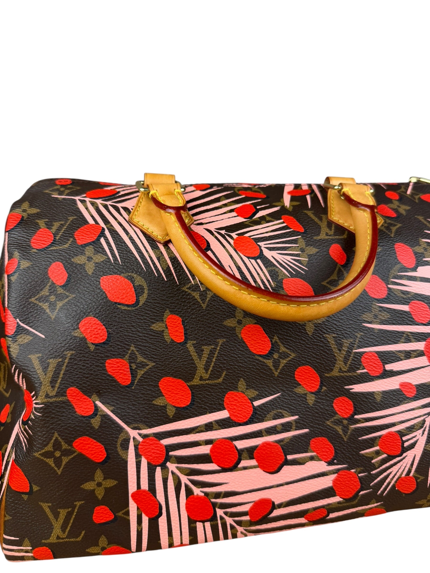 Louis Vuitton Limited Edition Jungle Dots Speedy 30