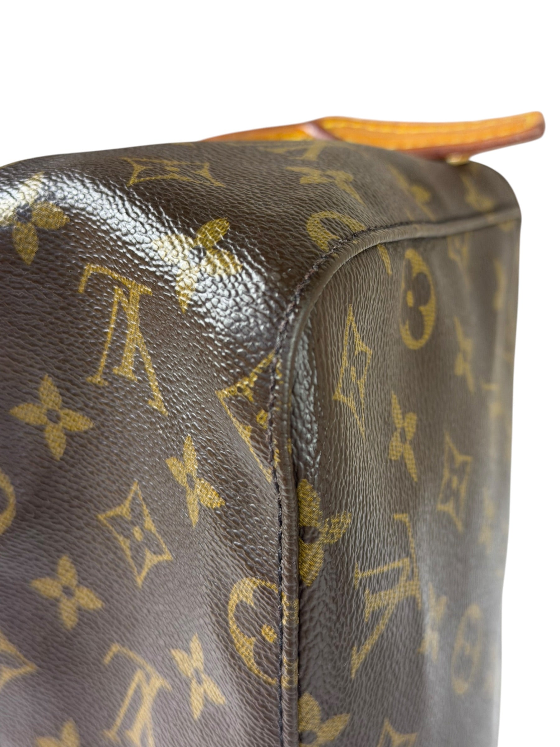 Louis Vuitton Monogram Mini Looping Shoulder Bag