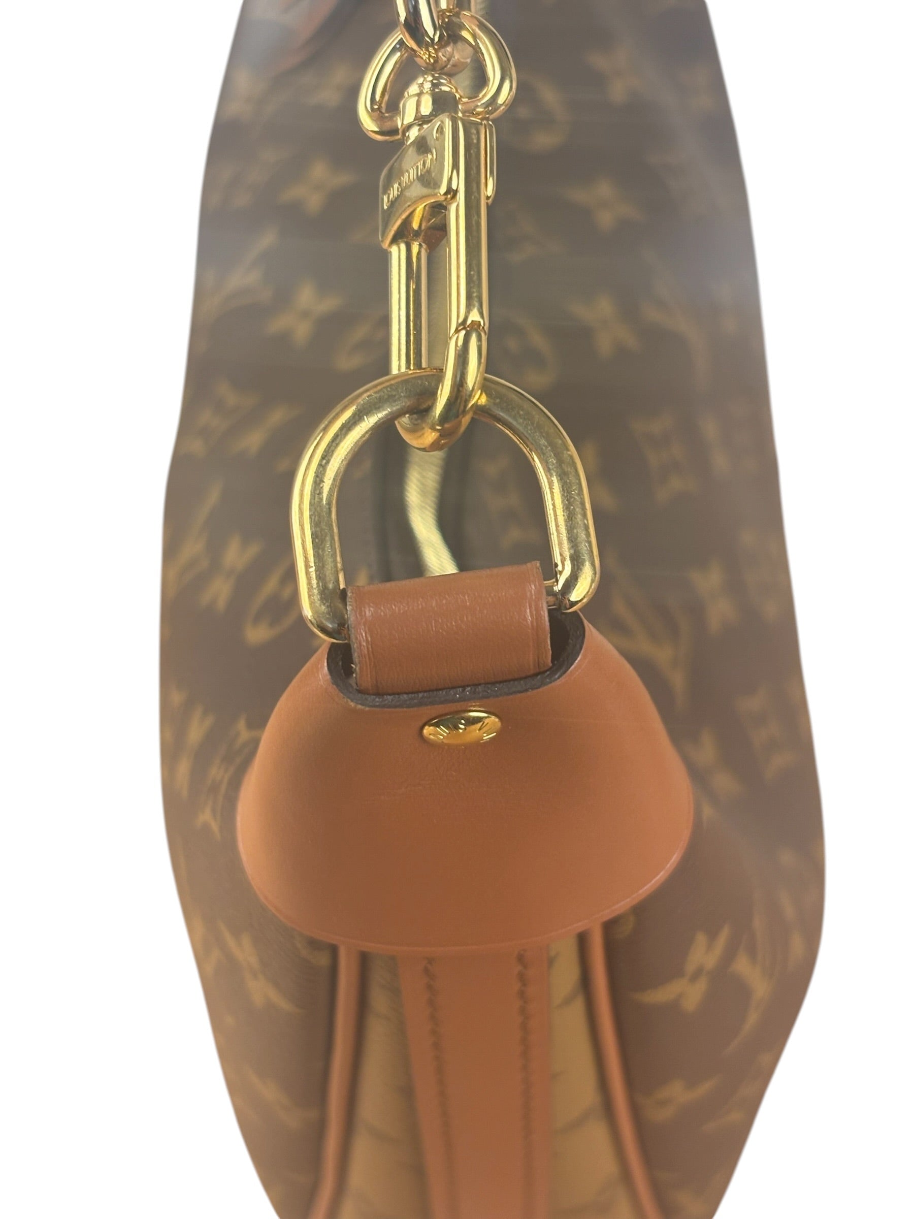 Louis Vuitton Reverse Monogram Loop Hobo
