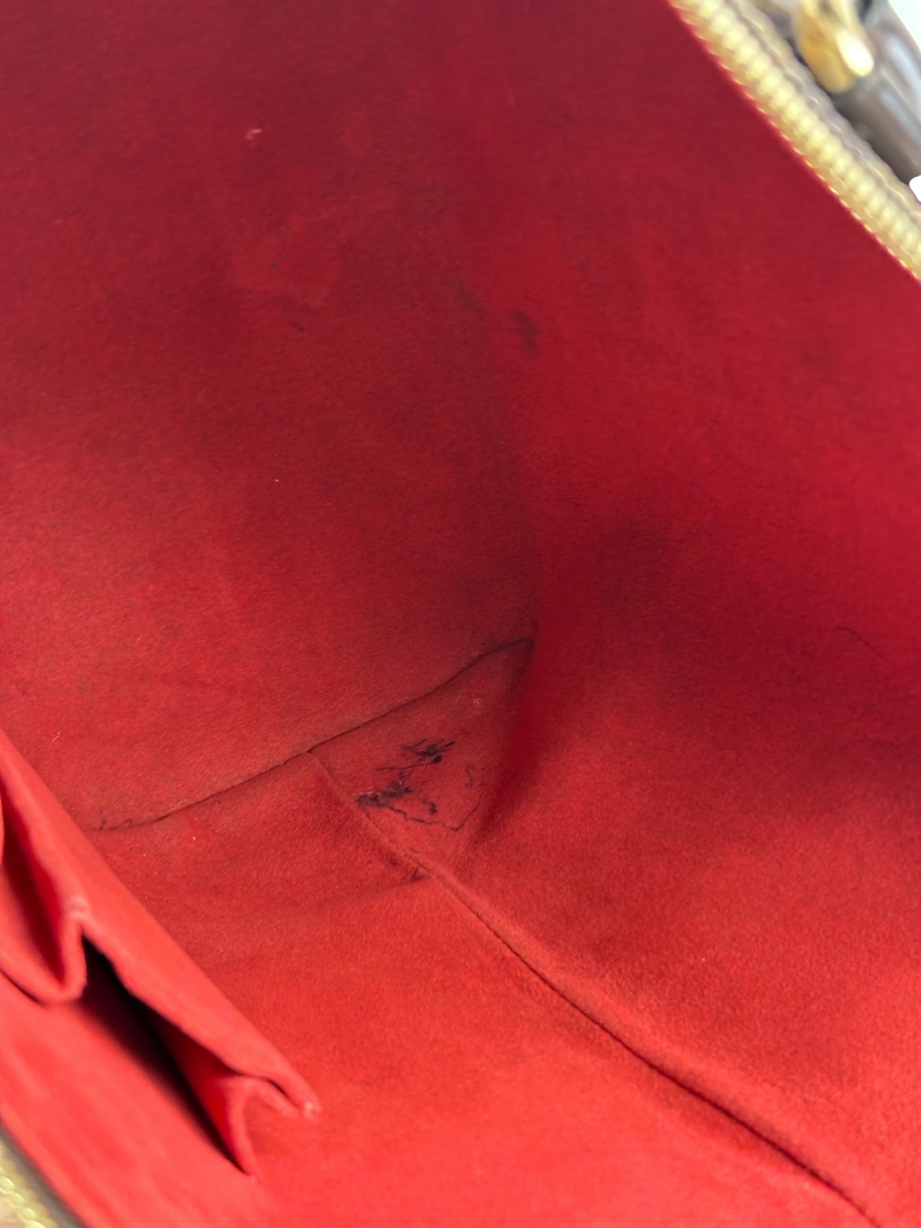 Louis Vuitton Damier Ebene Saleya Tote Bag