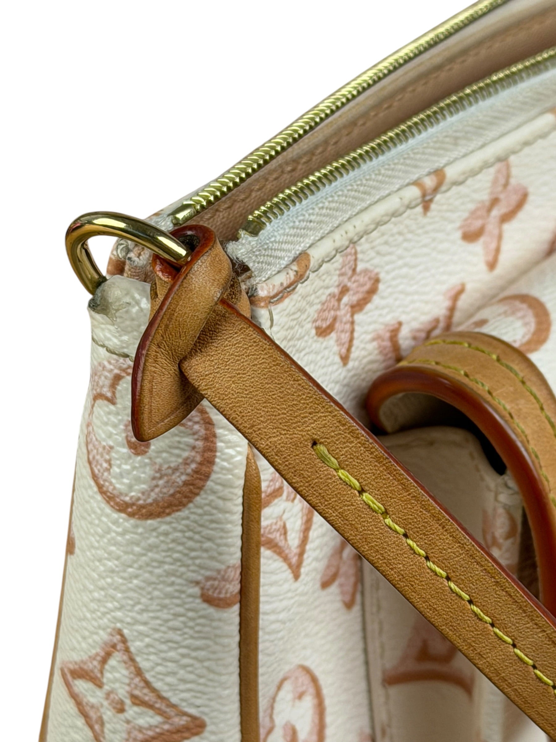 Louis Vuitton Monogram Maxi Multi Pochette