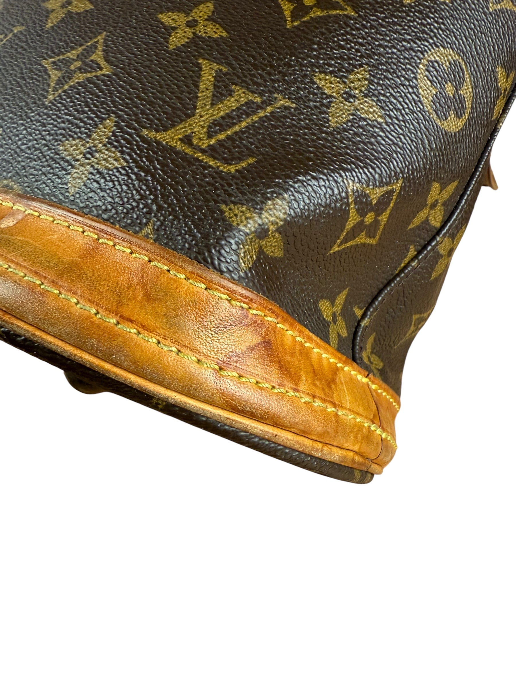 Louis Vuitton Monogram Bucket bag