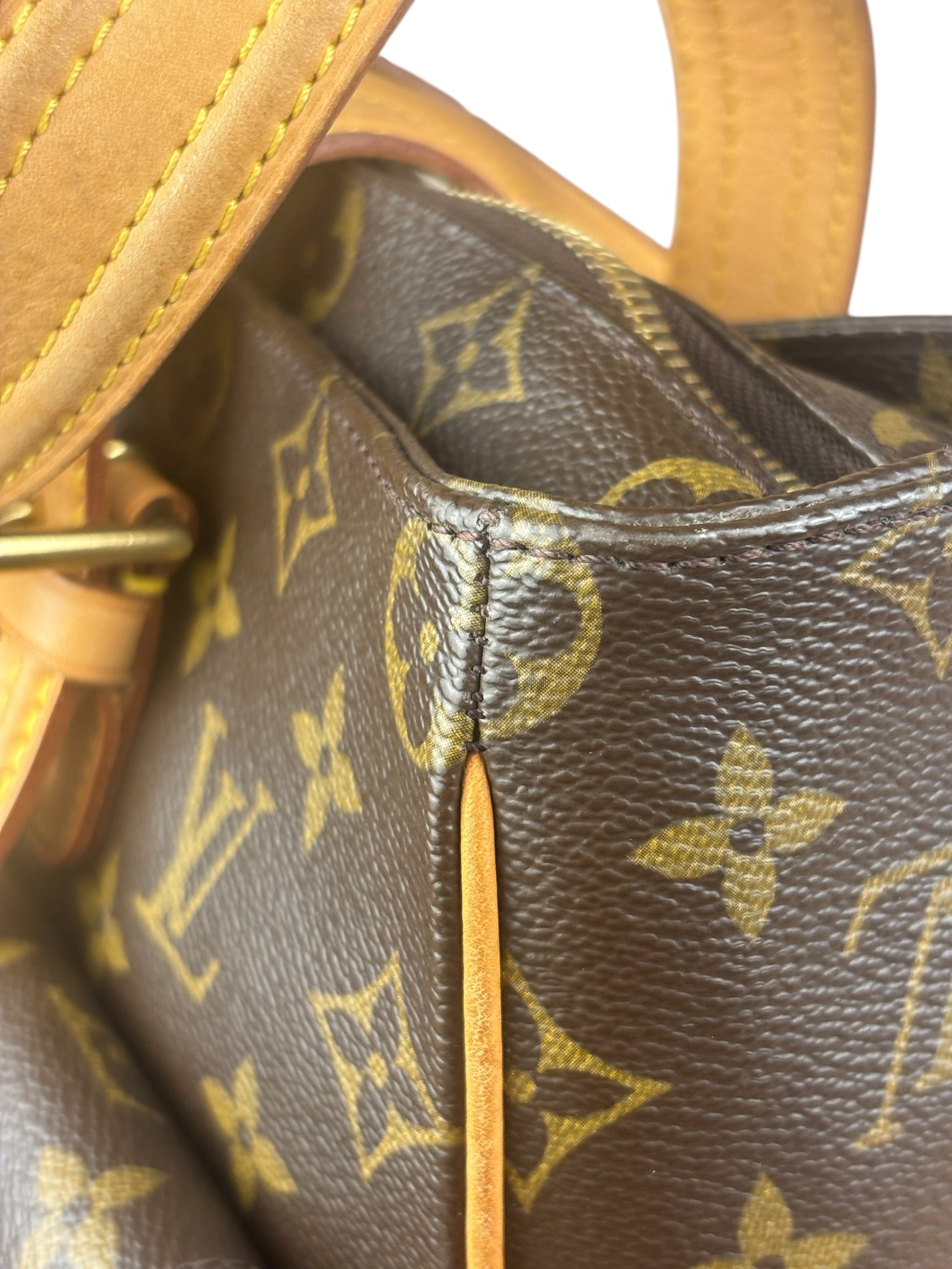 Louis Vuitton Monogram Multipli-Cite Shoulder Tote Bag