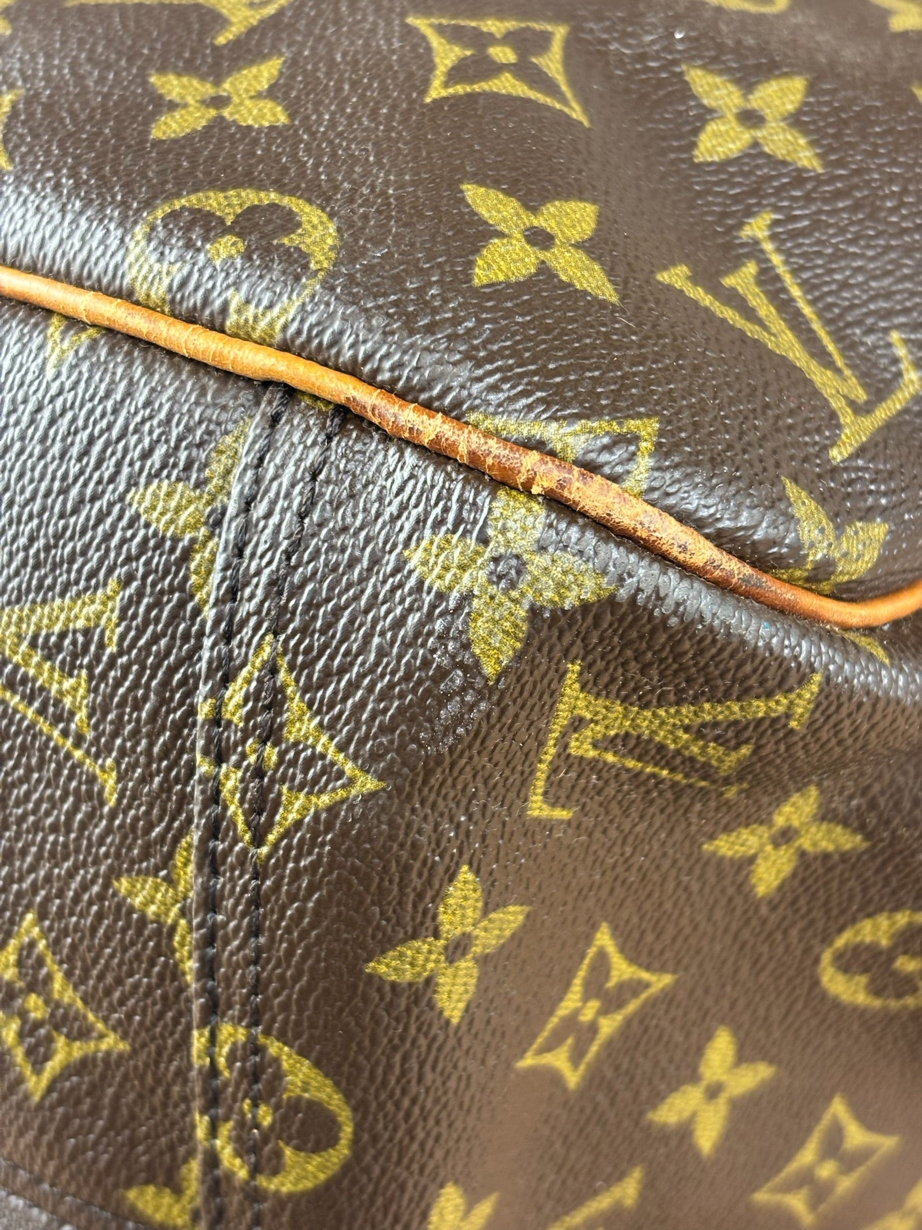 Louis Vuitton Monogram Alize Two Pouch Travel Bag