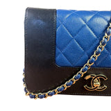 Chanel Bicolor Leather Mademoiselle Wallet On Chain 2017
